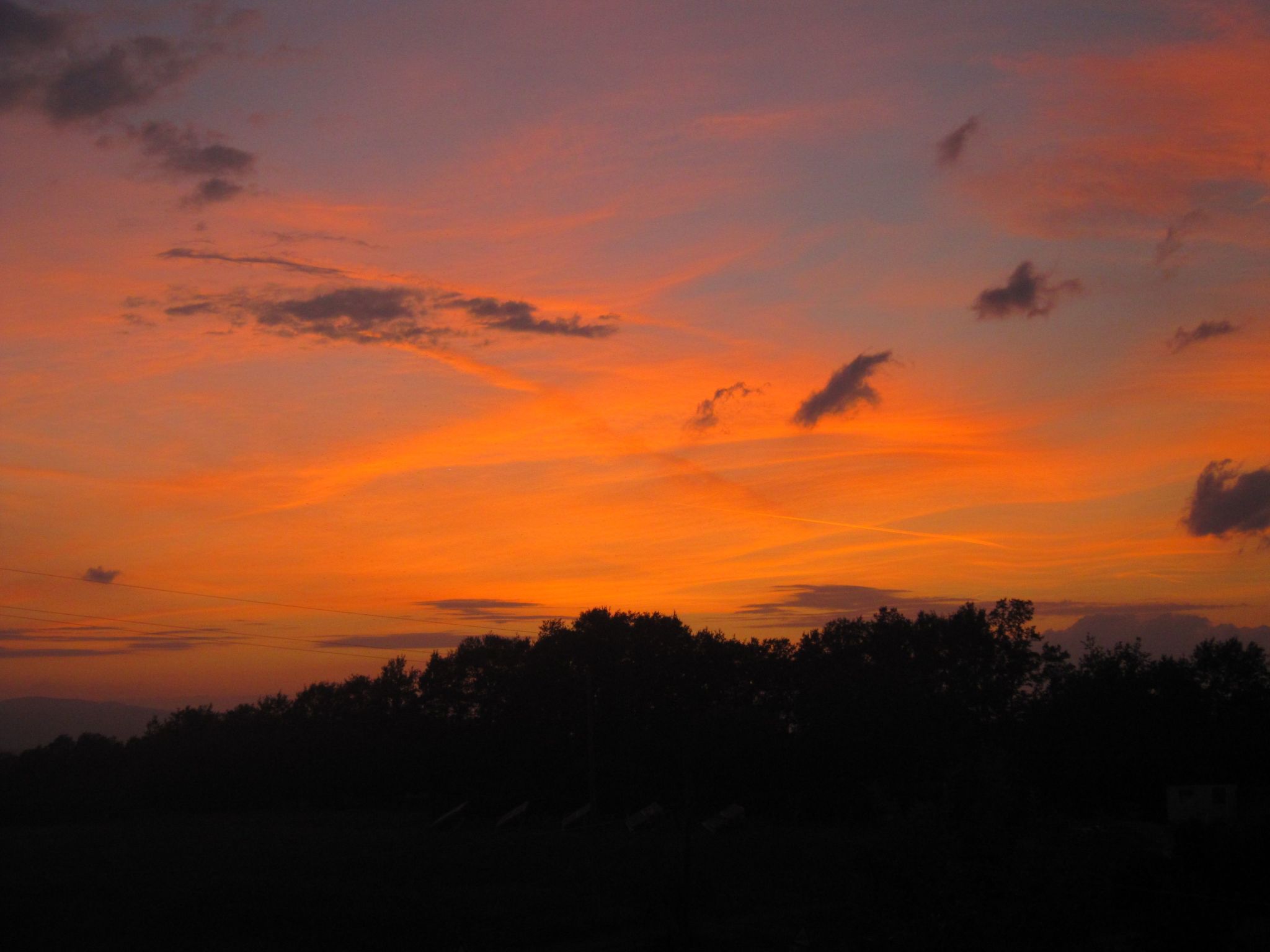 Sonnenblume Wohnung-Binnen