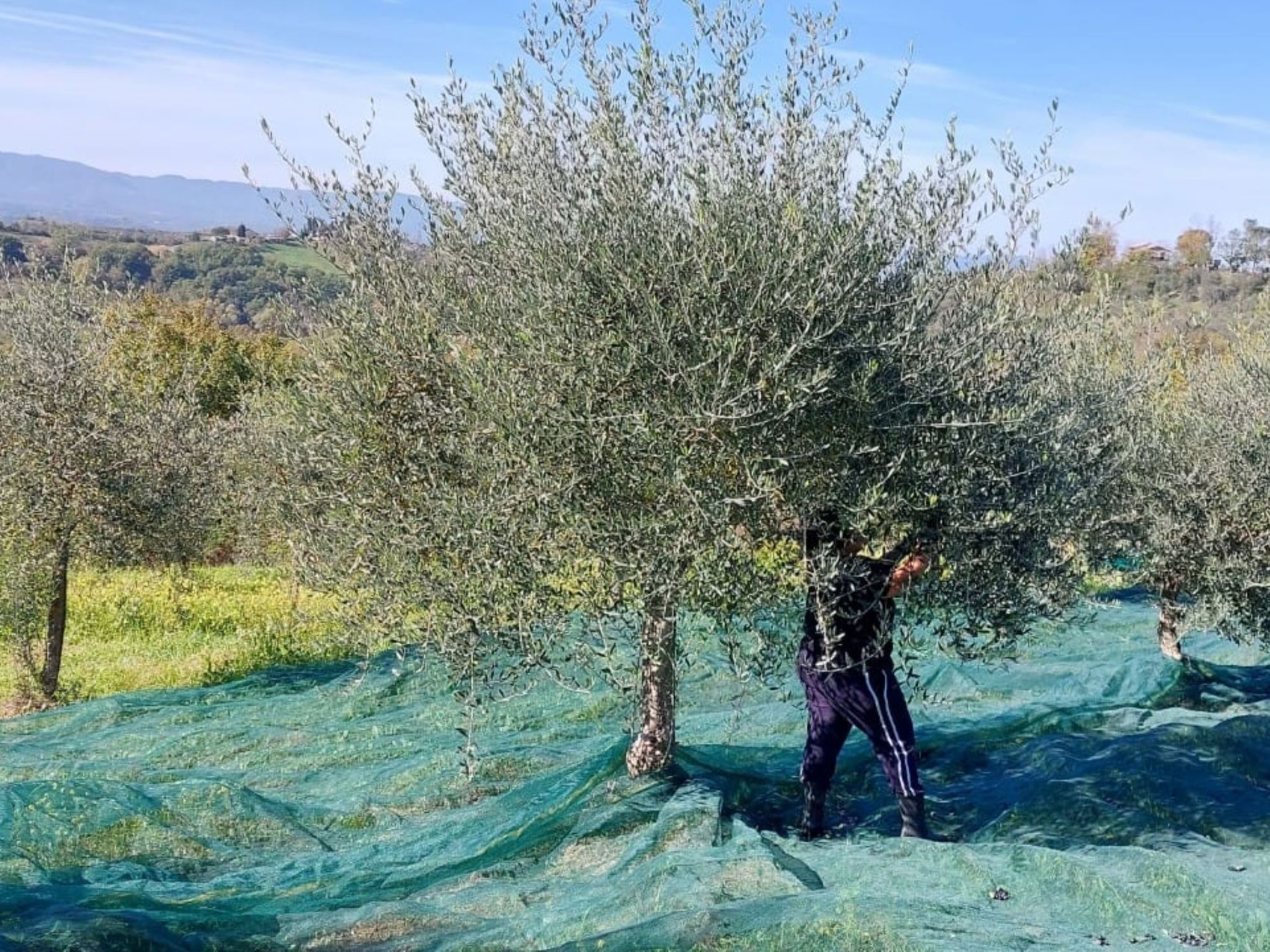 Wohnung in gemütlichem kleinen Bauernhaus-Dedans