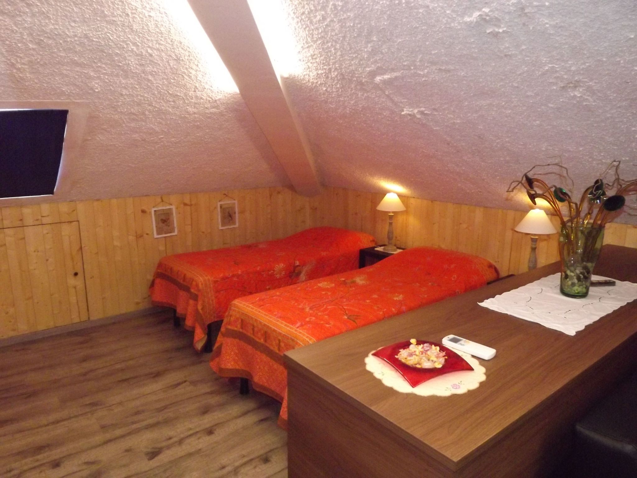 Flache Kornblume-Binnen