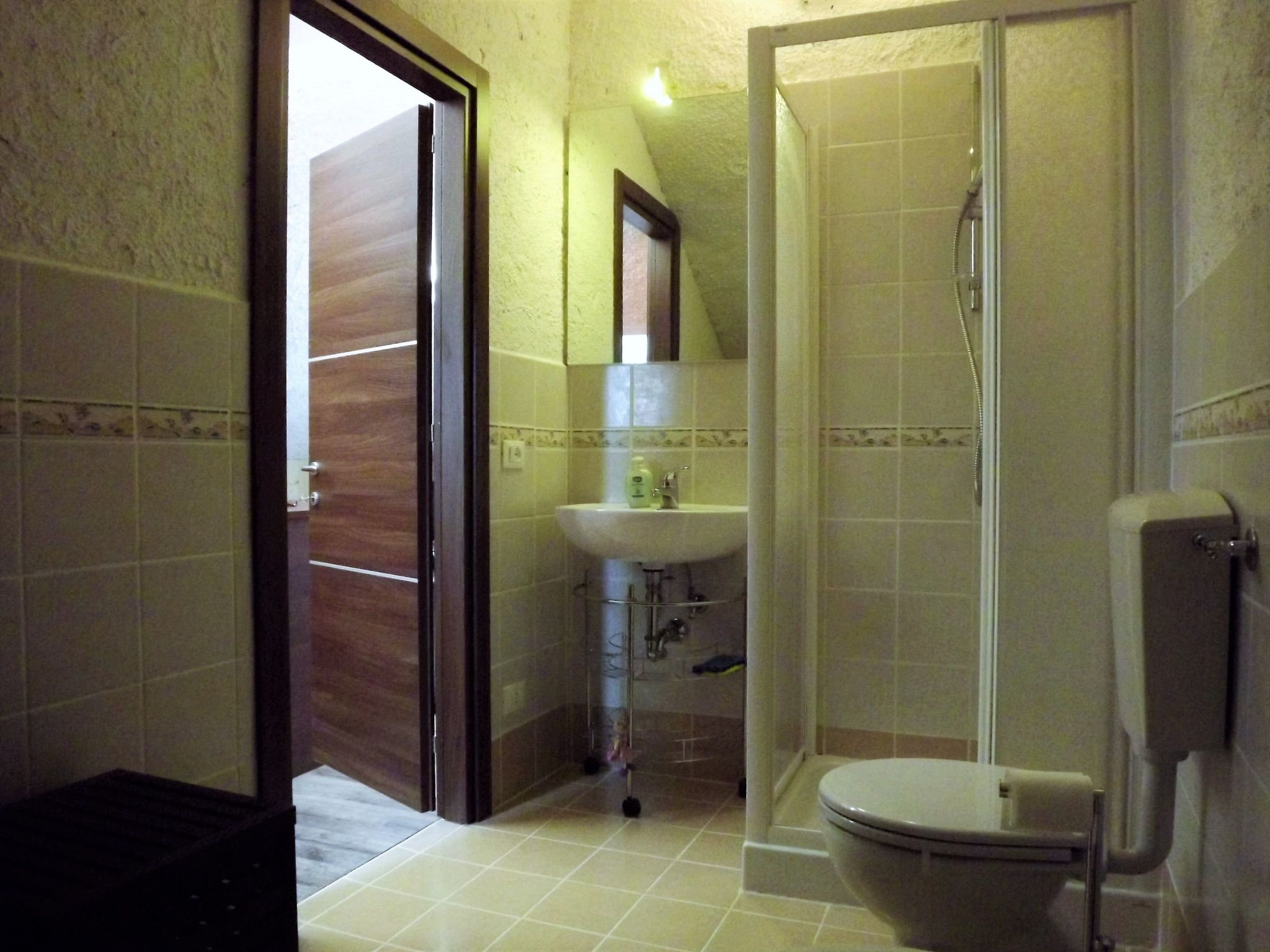 Flache Kornblume-Binnen