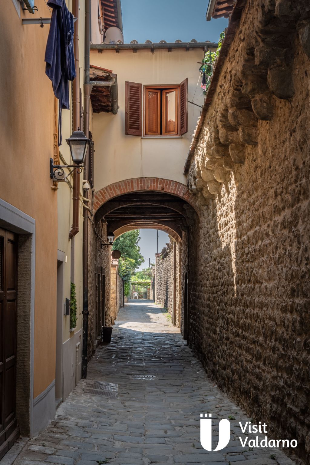 Flache Kornblume-Binnen