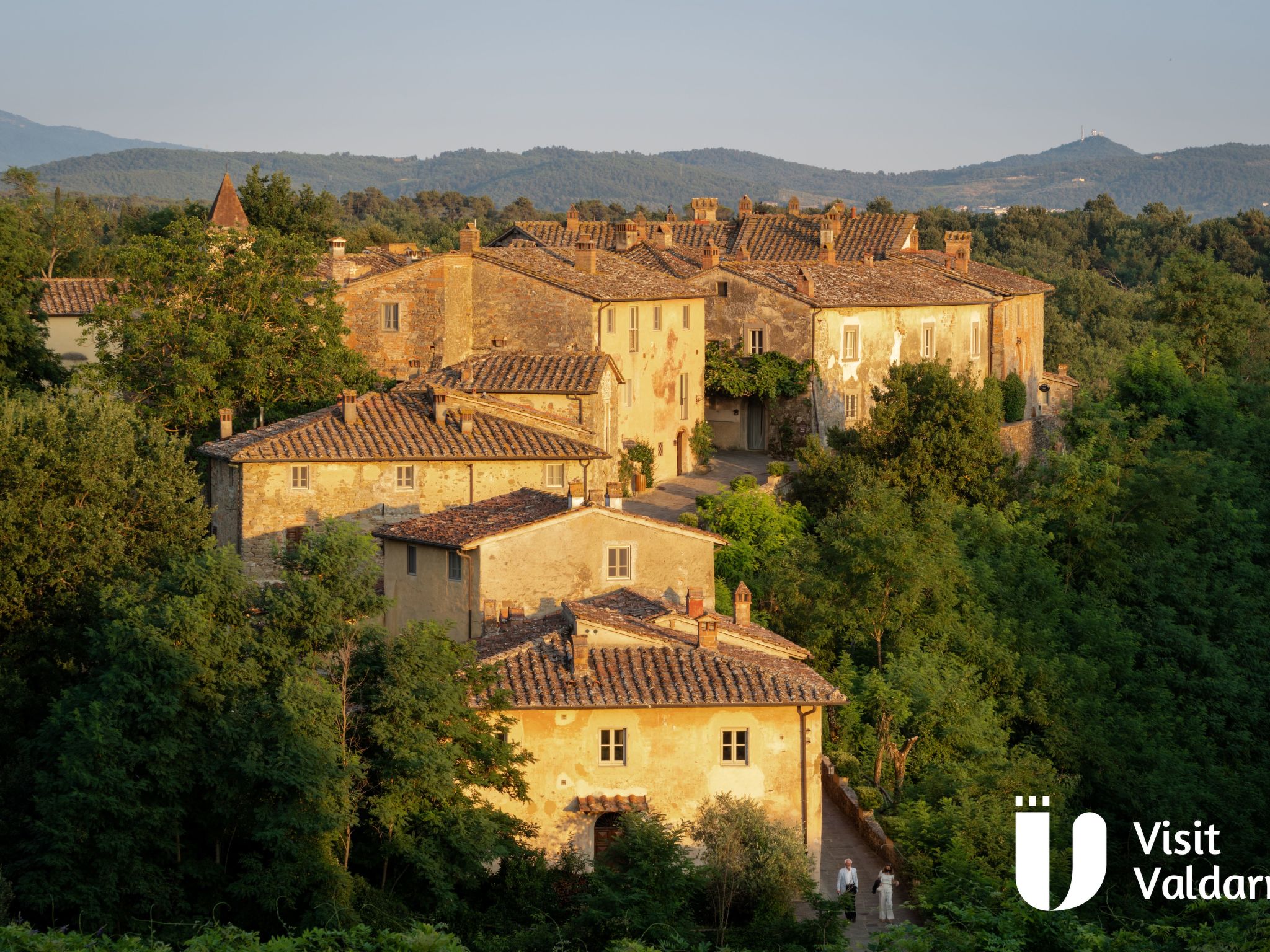 Flache Kornblume-Binnen