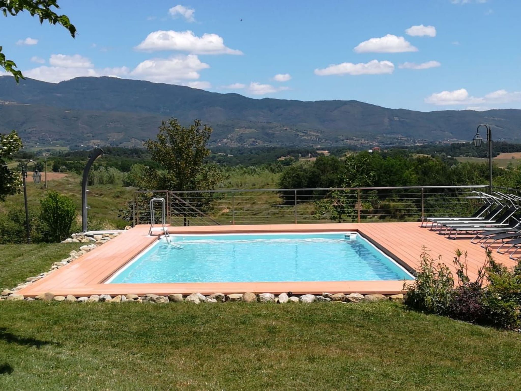 Flache Kornblume-Binnen