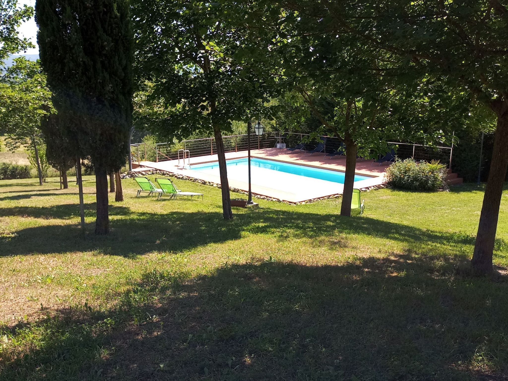 Flache Kornblume-Binnen