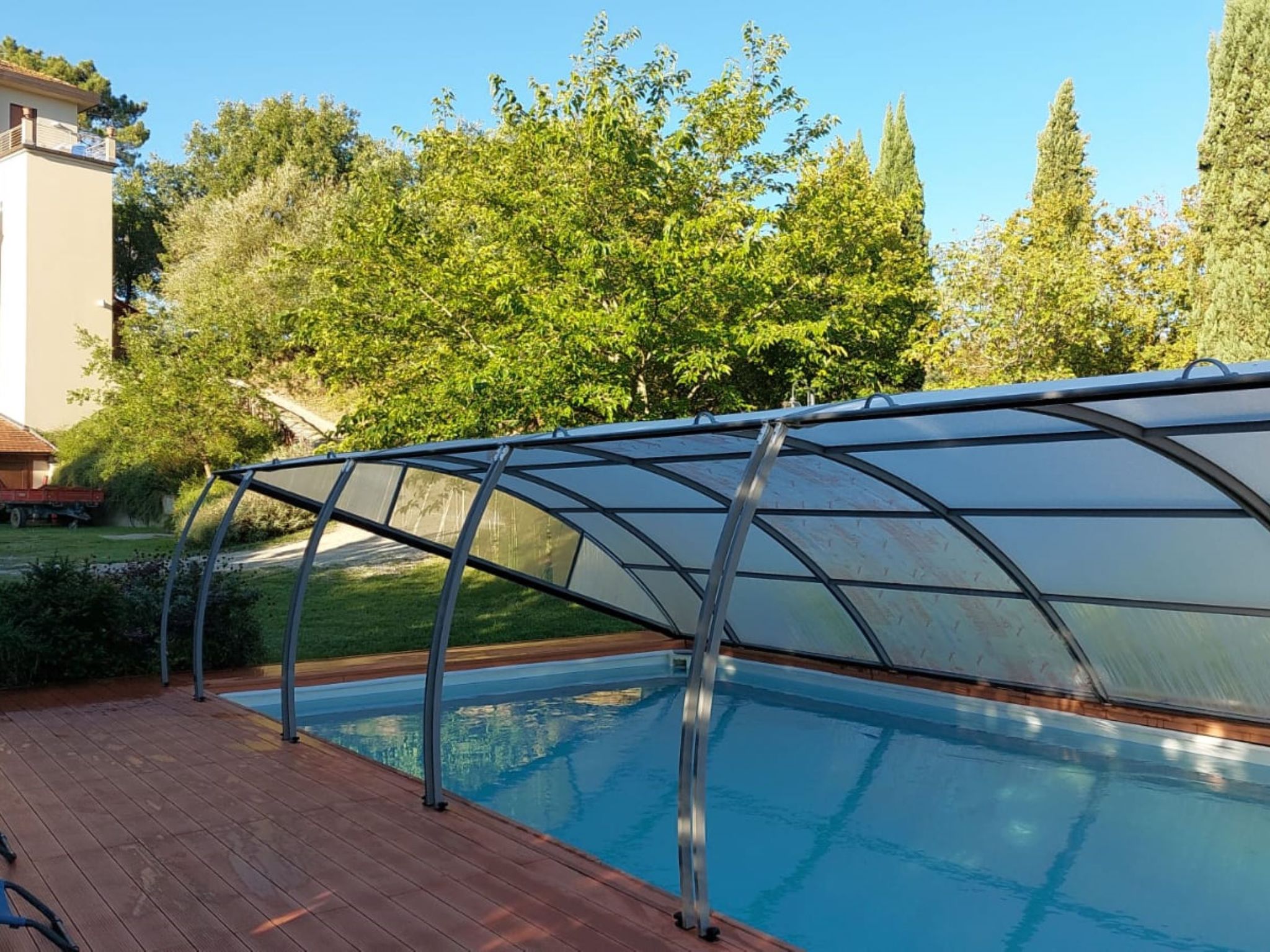 Flache Kornblume-Binnen