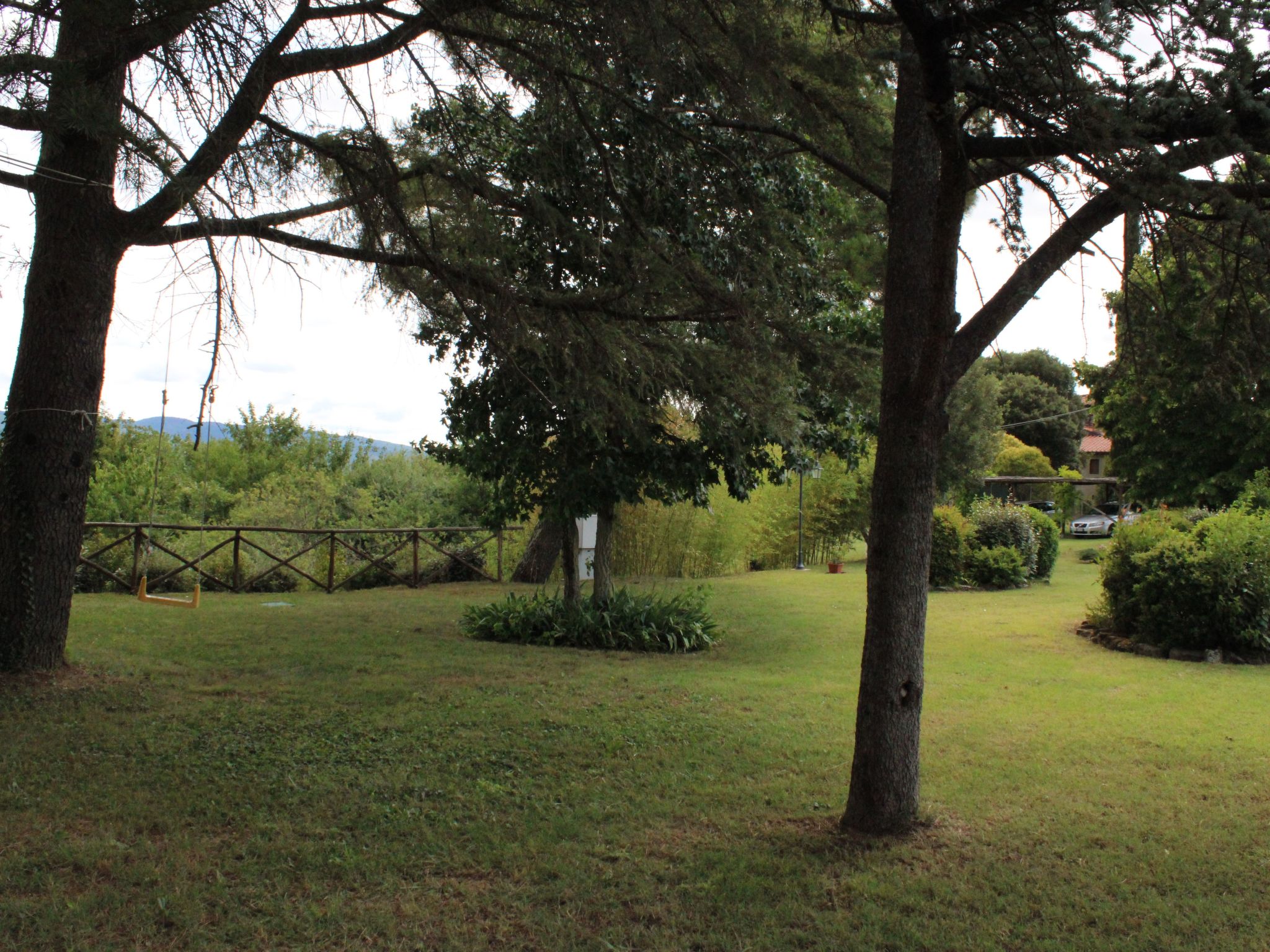 Flache Kornblume-Binnen