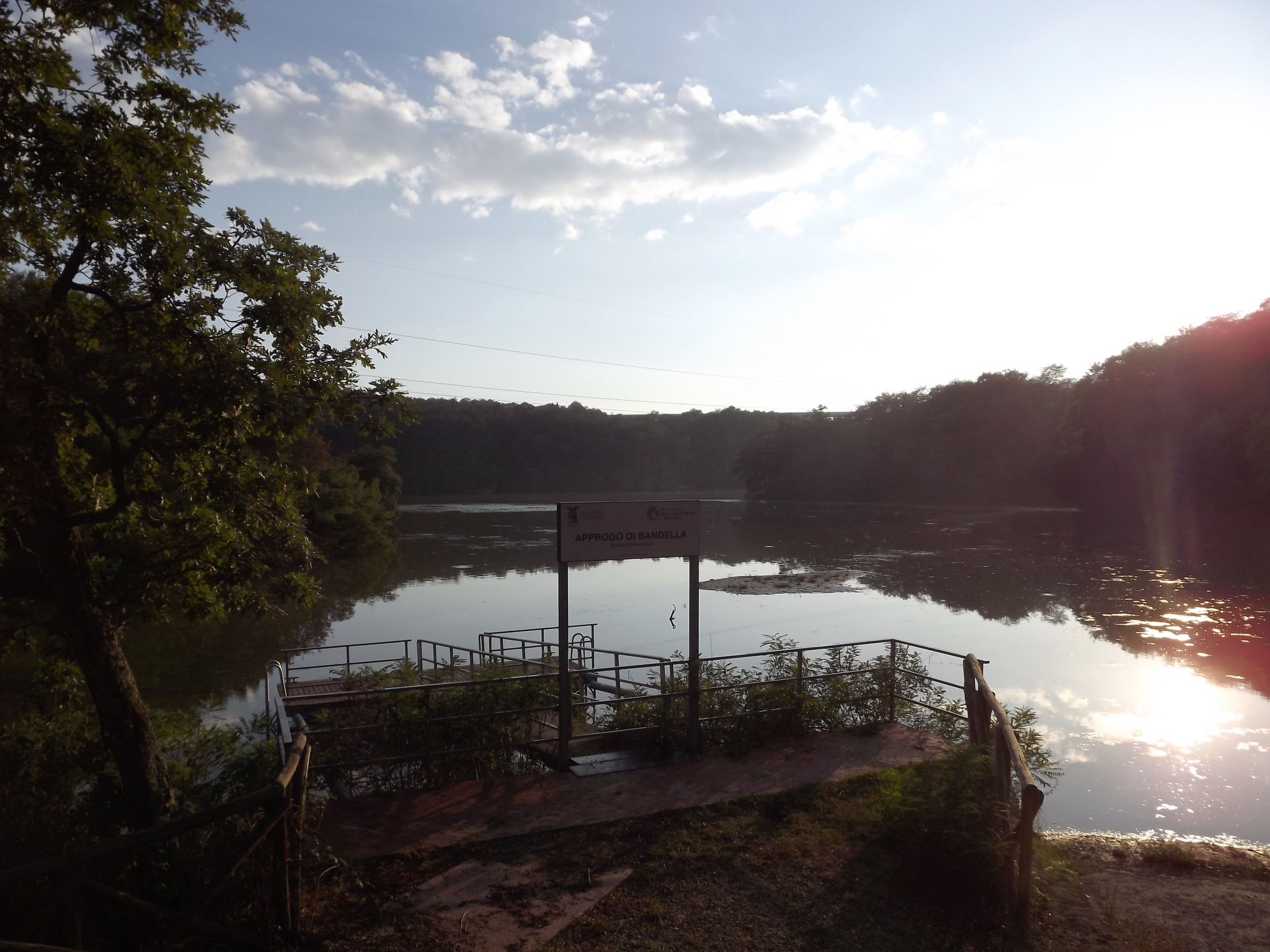 Flache Kornblume-Binnen