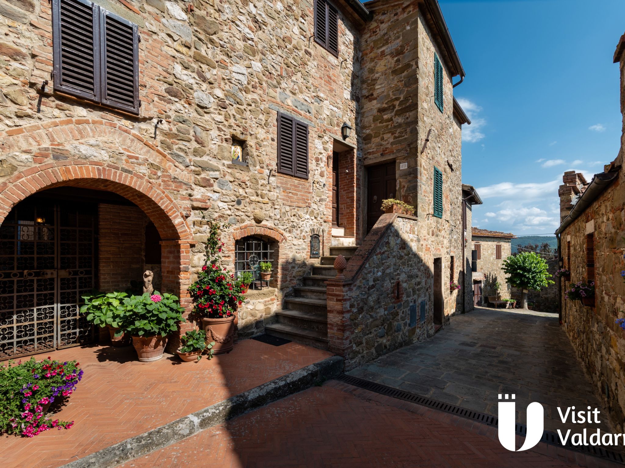 Flache Kornblume-Binnen