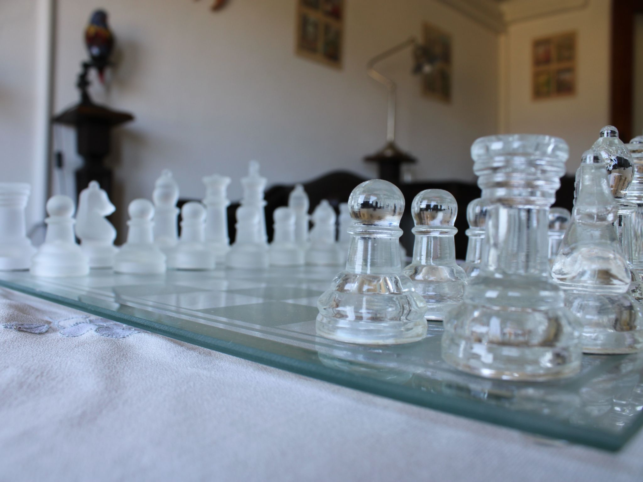 Flache Kornblume-Binnen