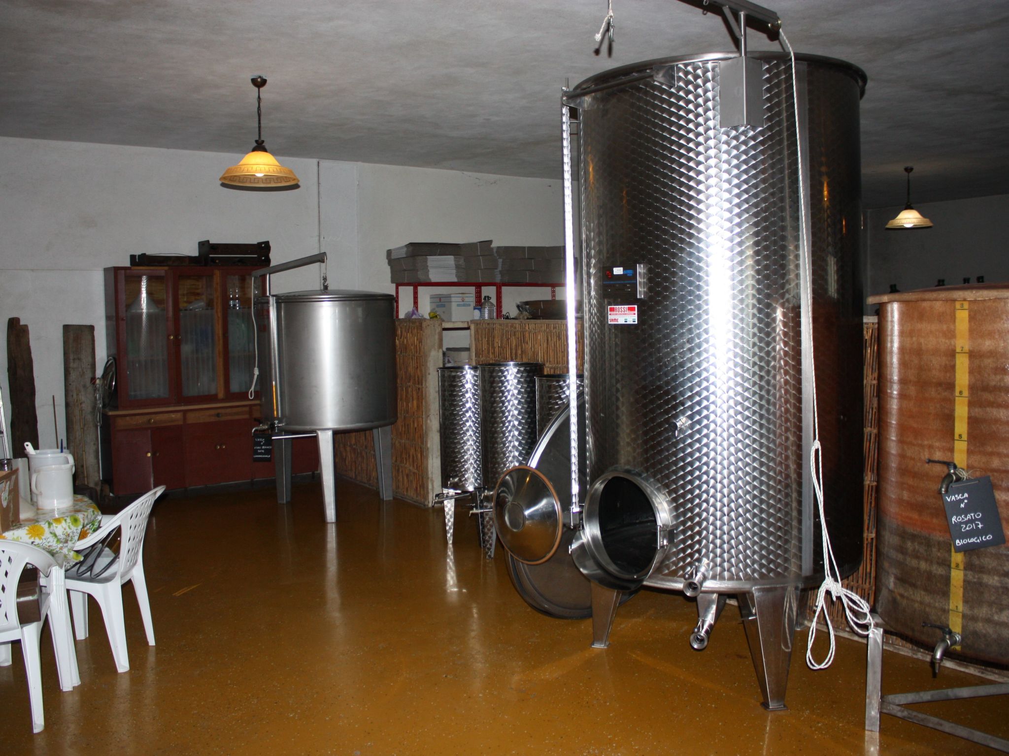 Flache Kornblume-Binnen