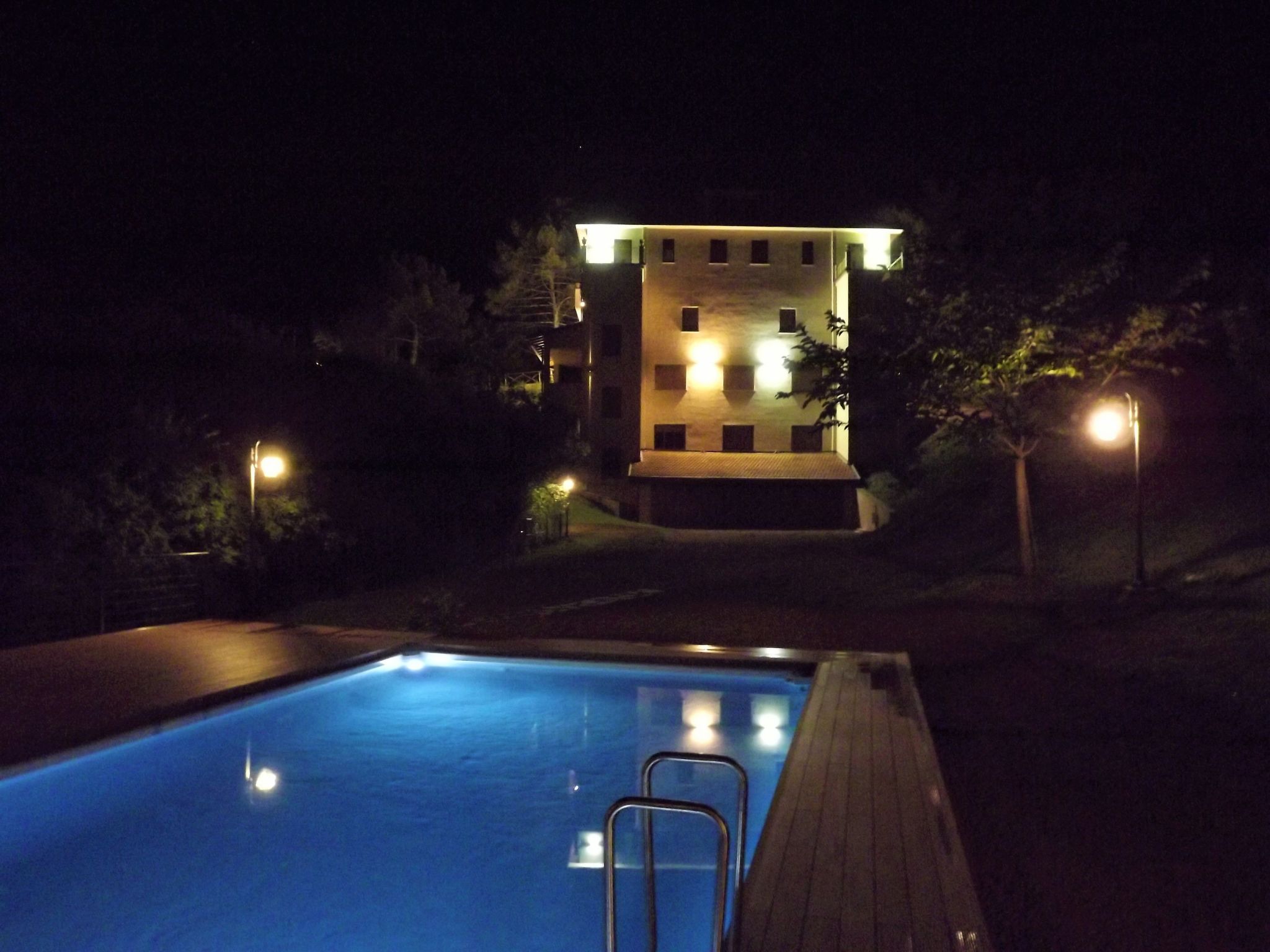 Flache Kornblume-Binnen