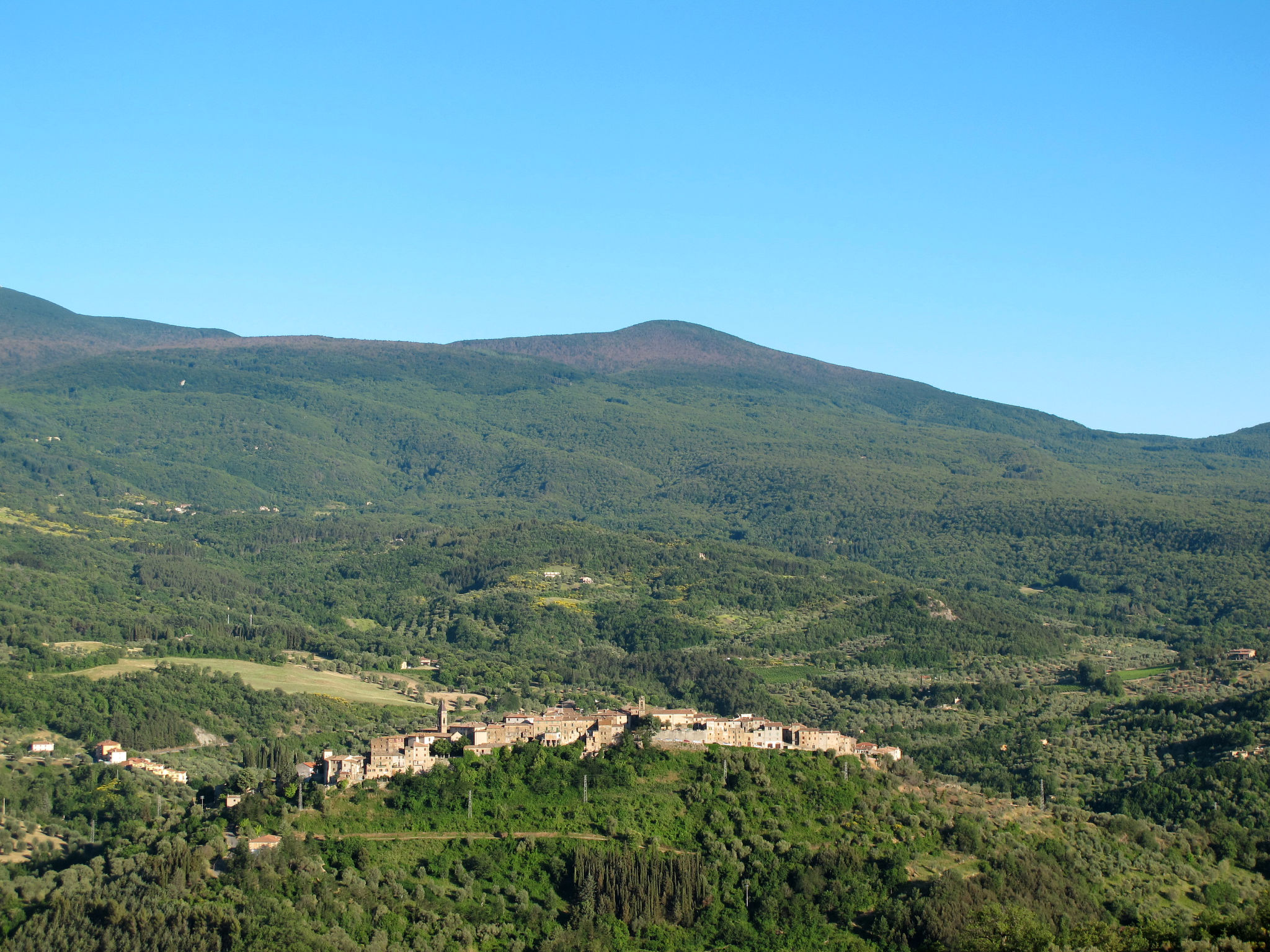 Torrenieri-Area
