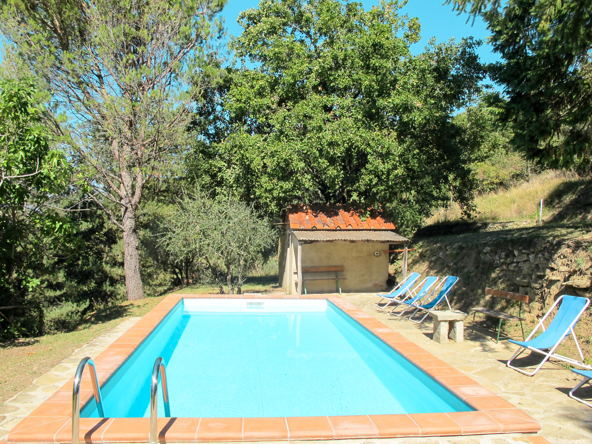 Belvedere — Pool Outdoor (3 of 32)