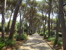 Appartement Cigliere