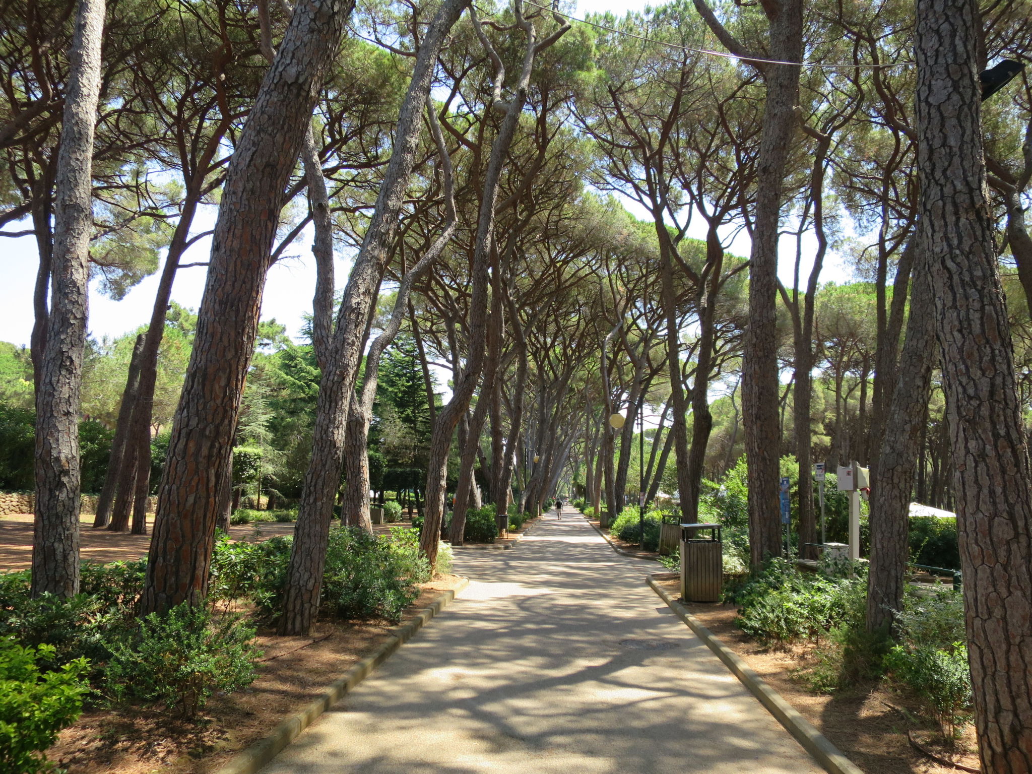 La Conchiglia-Area
