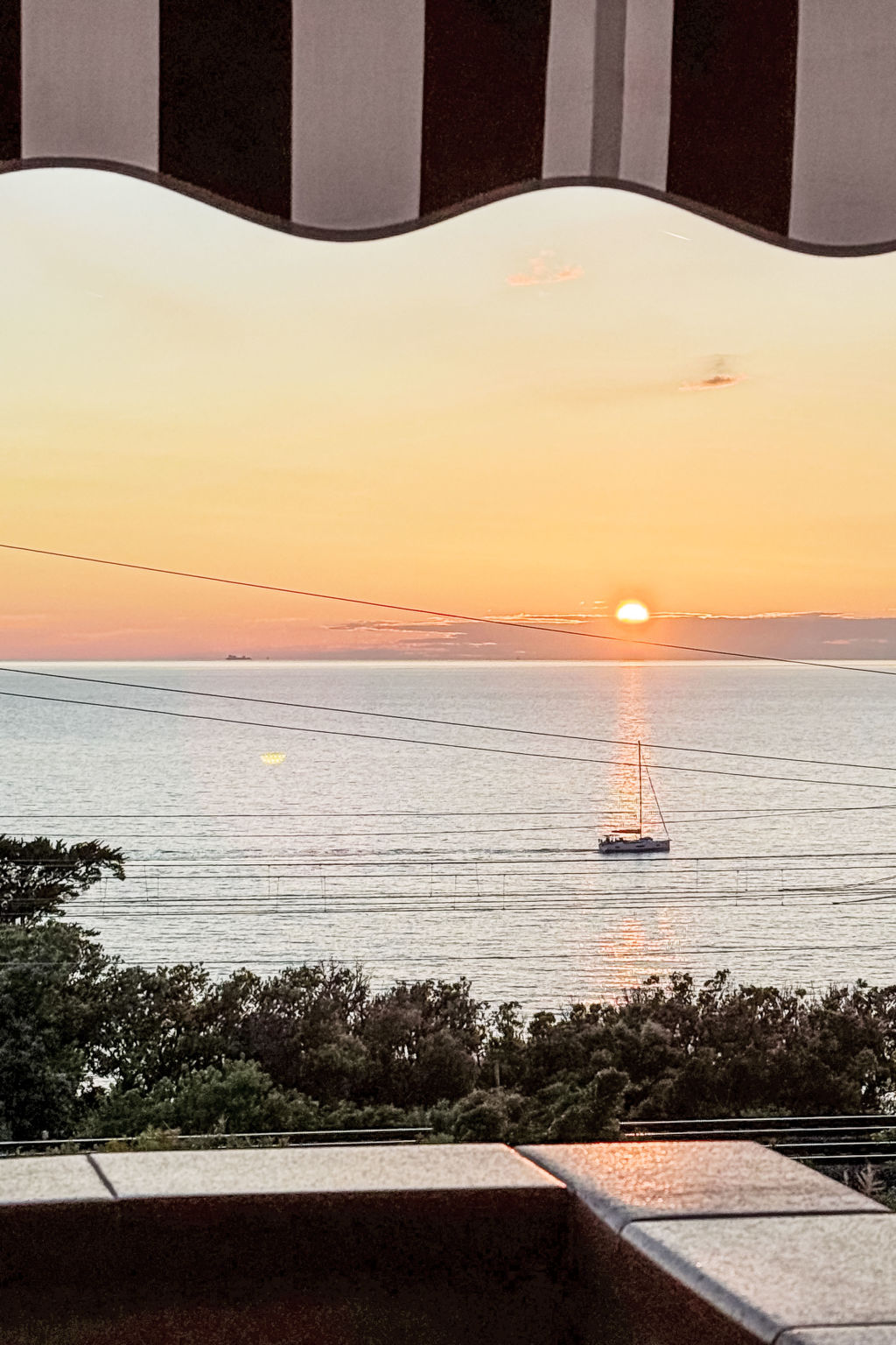 Rosa di sera - Dehors