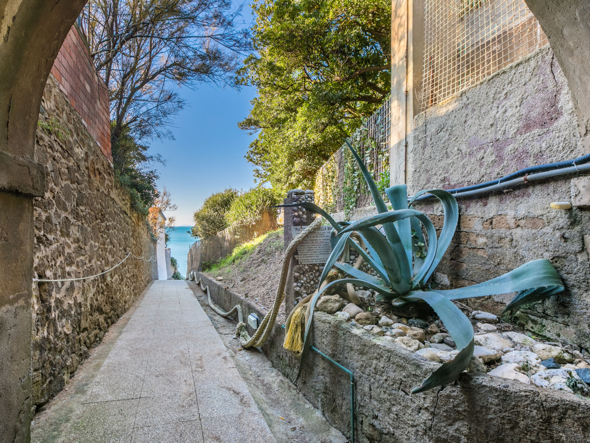 Rosa di sera - Dehors