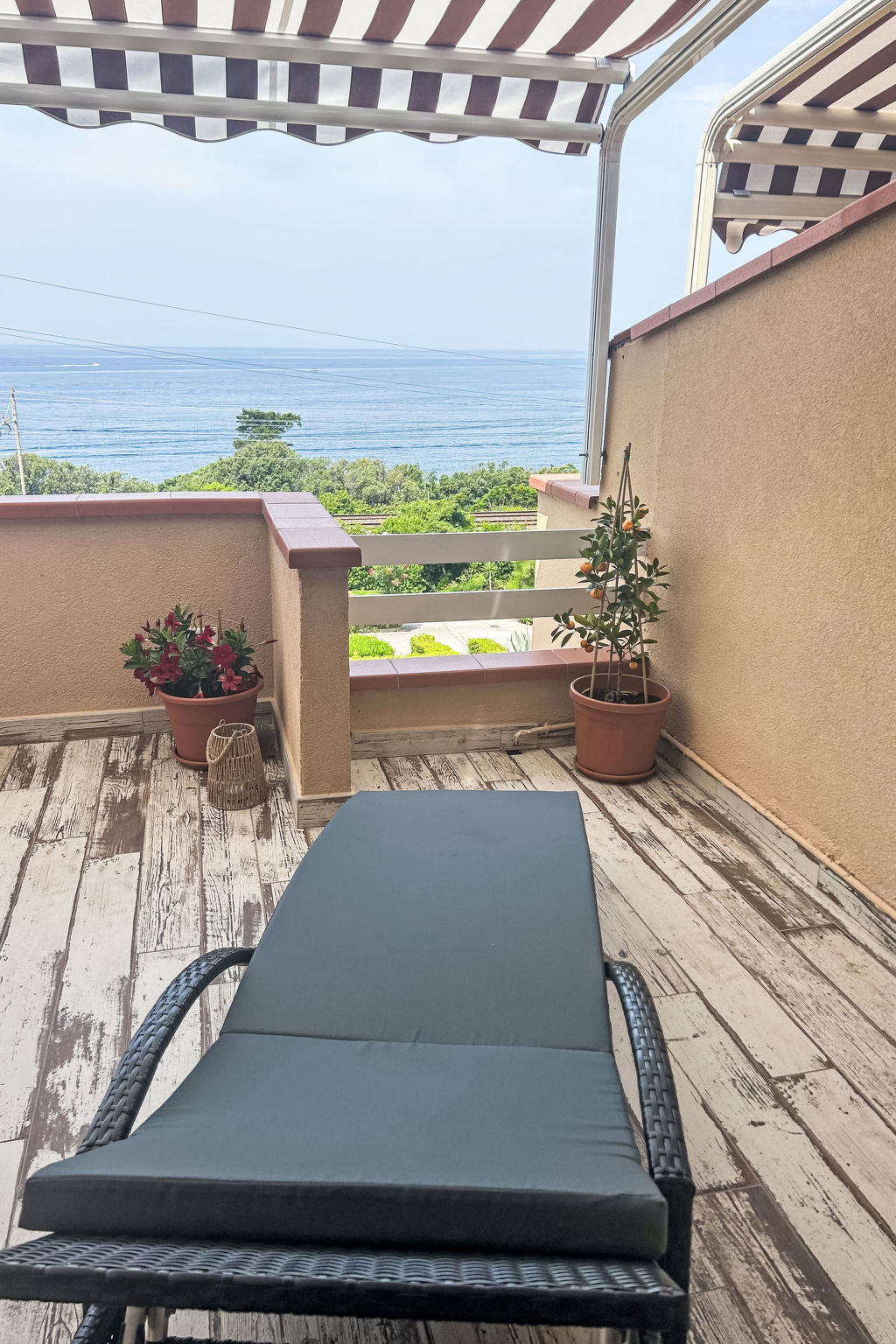 Rosa di sera - Dehors