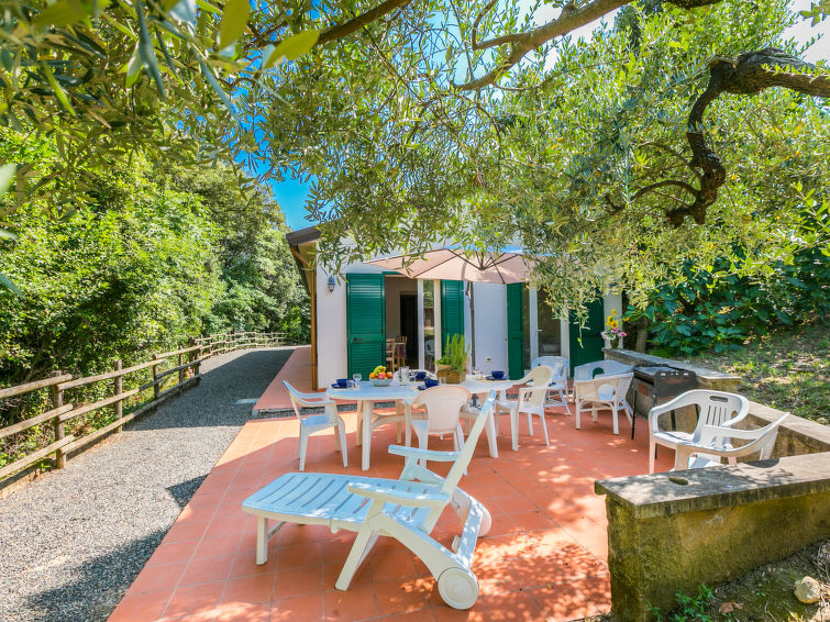 Search and Stay destination Provincia di Livorno, Toscana - Italy from AU$ 302. Podere gli Olivi