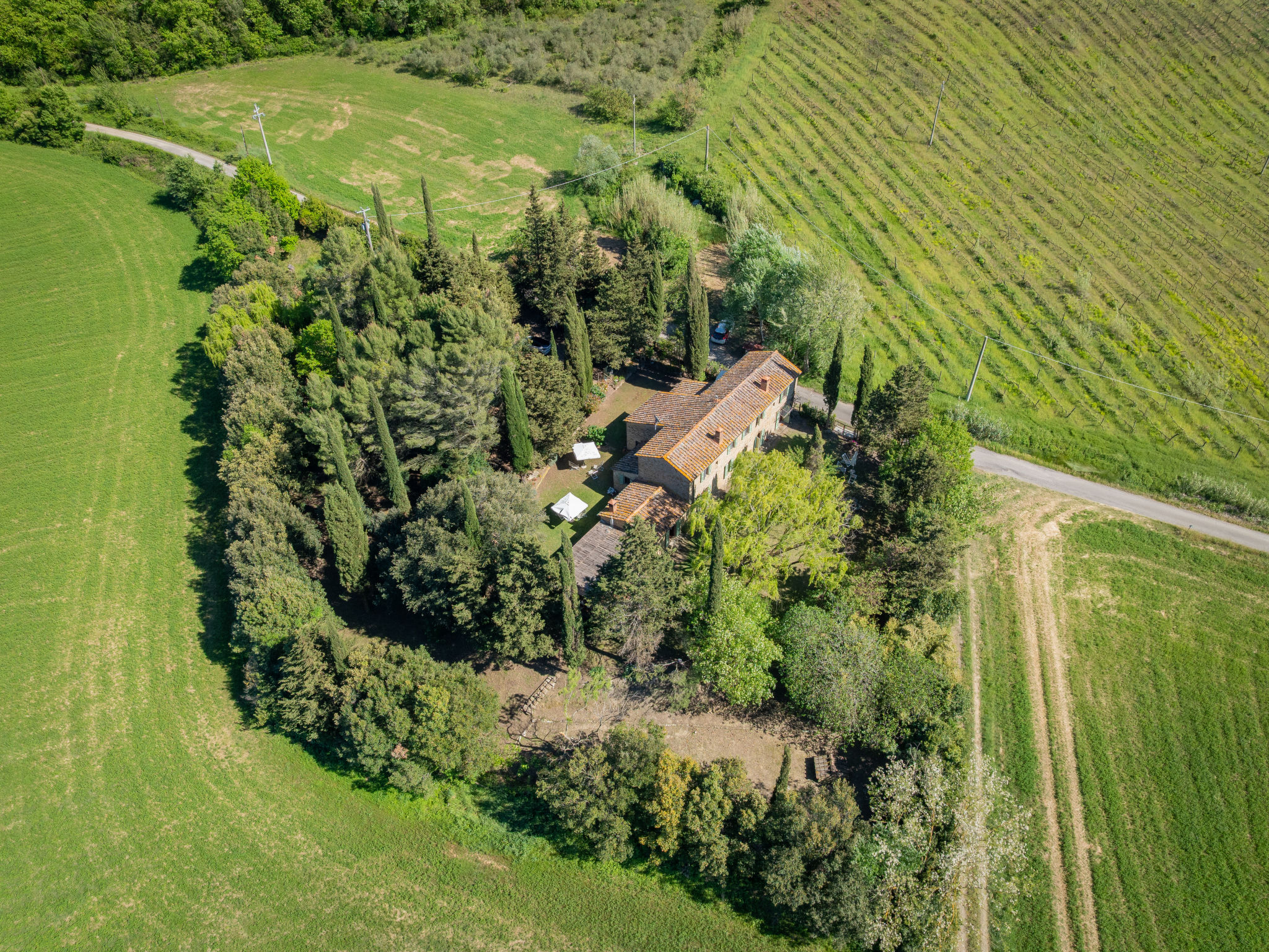 Il Salice - Outside