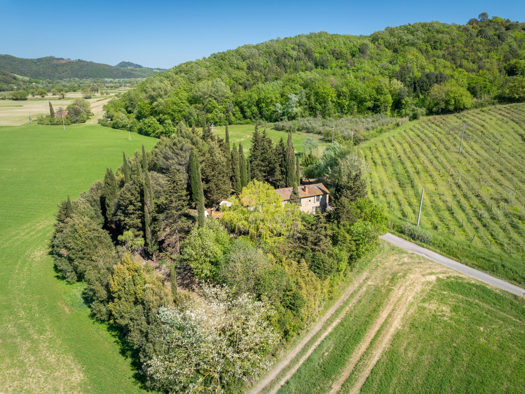 Il Salice - Outside