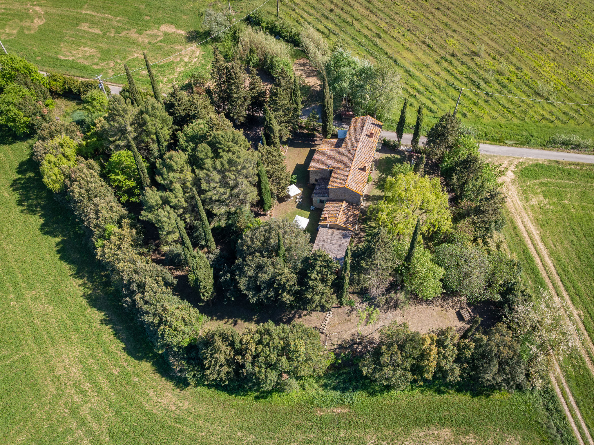 Il Salice - Outside