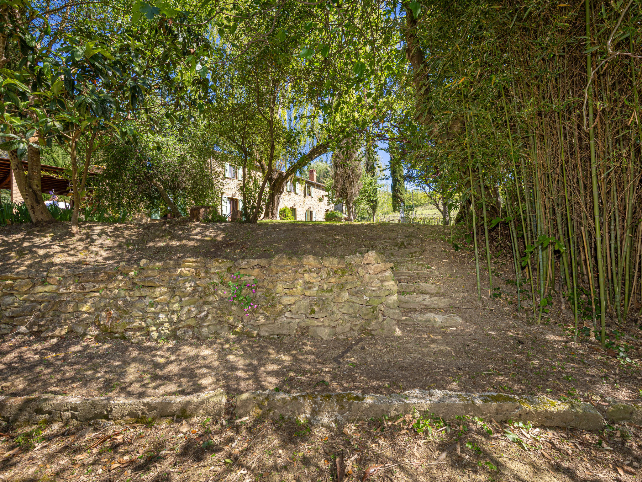 Il Salice - Outside