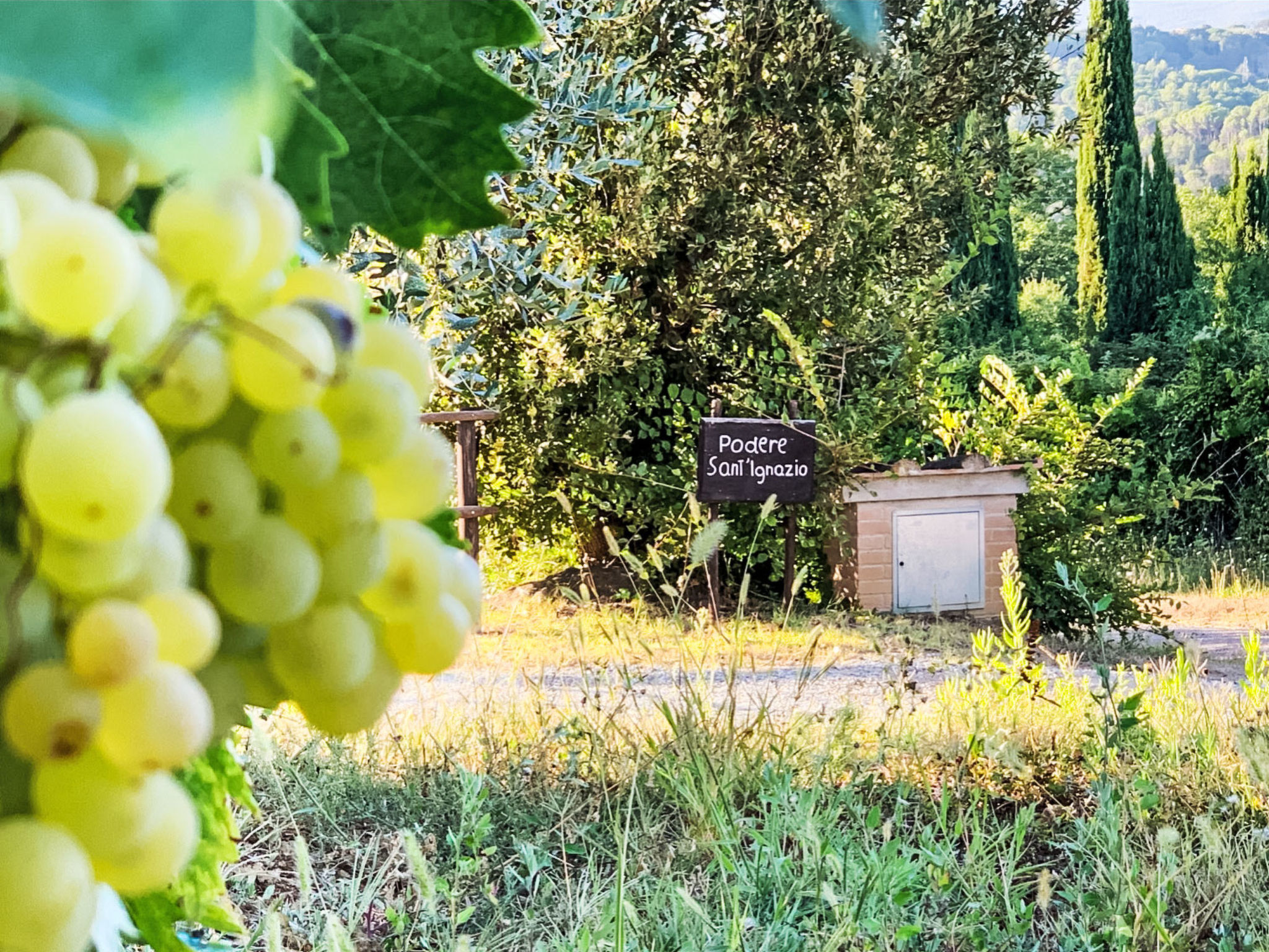 Podere Sant'Ignazio - Dehors