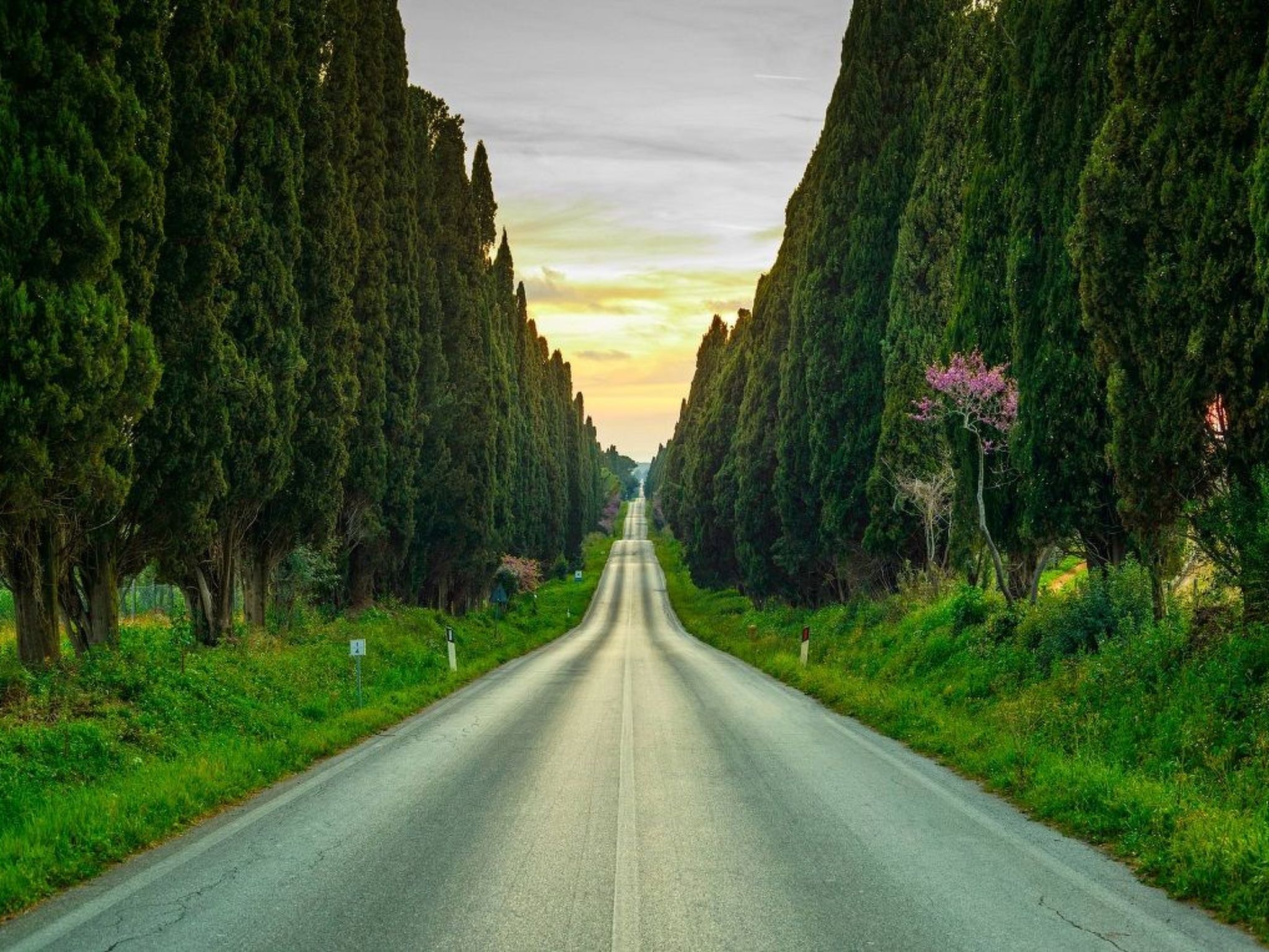 Badia Vecchia-Dedans