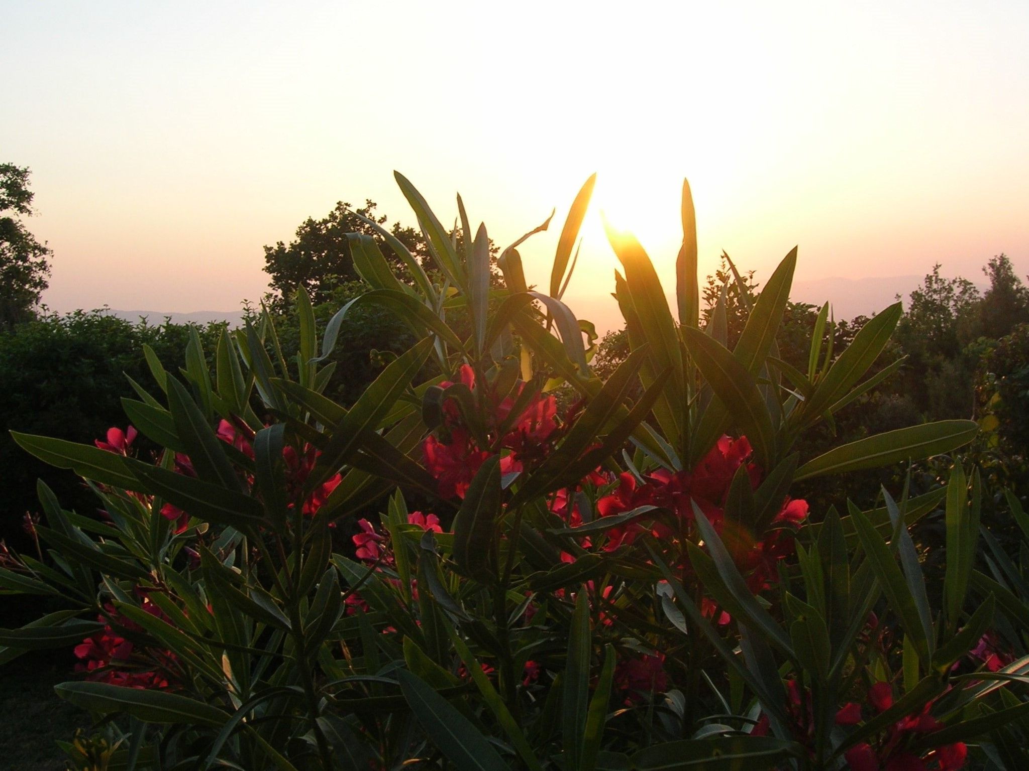 Ein-Zimmer-Wohnung 'Ligoracce-Binnen
