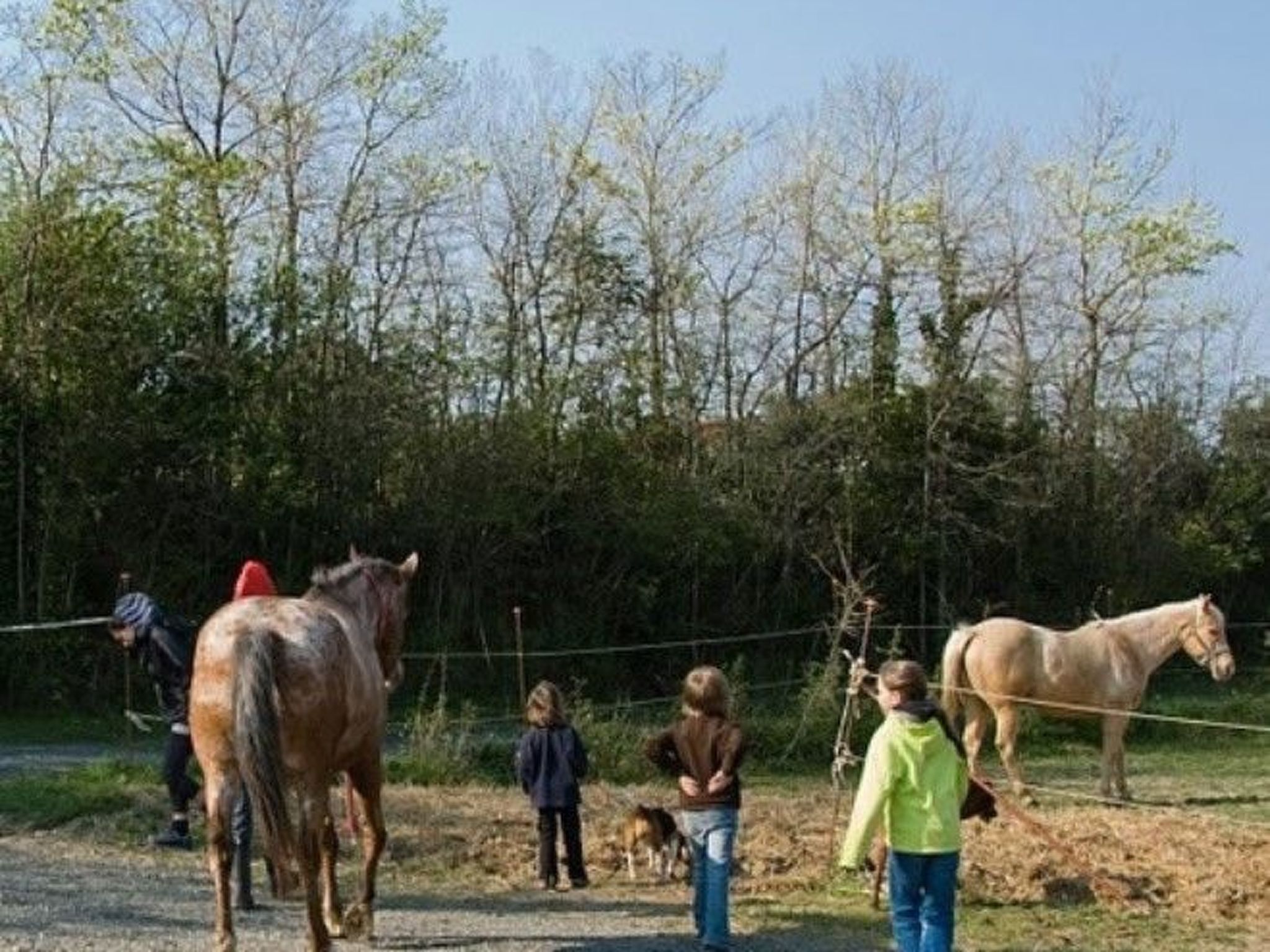 Ein-Zimmer-Wohnung 'Ligoracce-Binnen