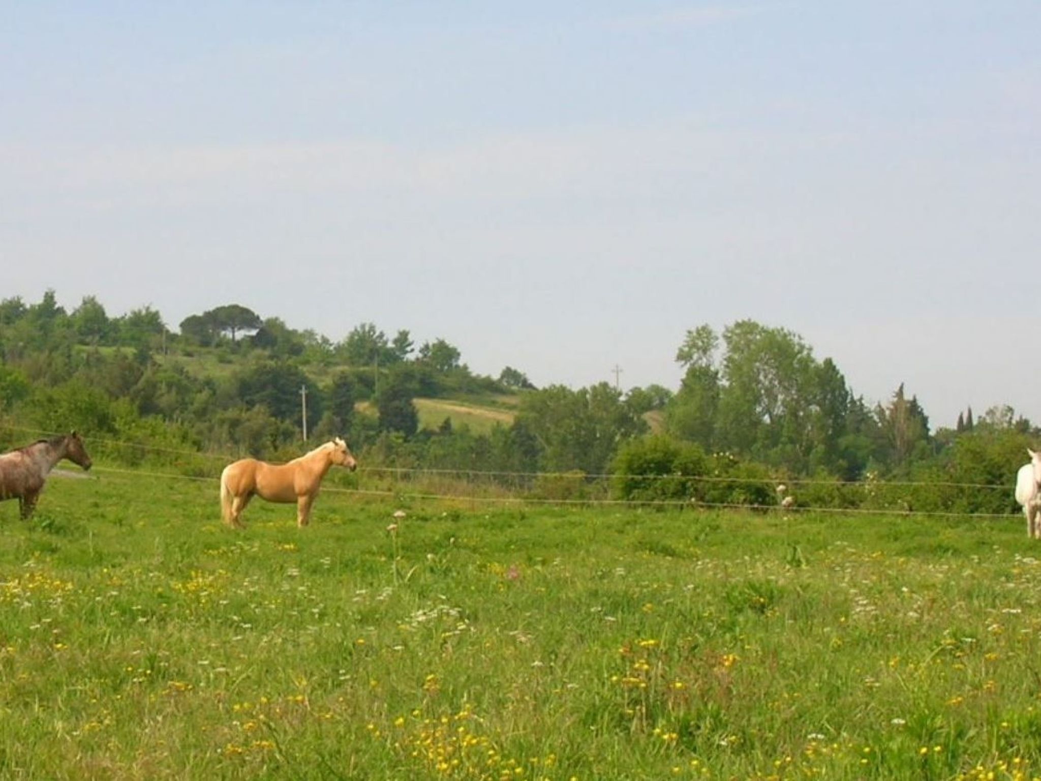 Ein-Zimmer-Wohnung 'Ligoracce-Binnen