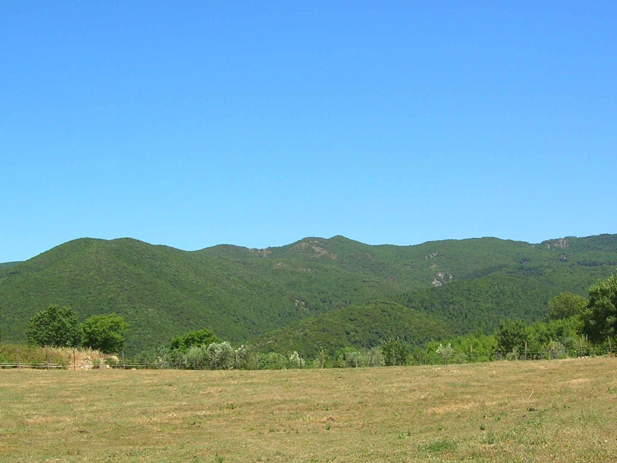 Wohnung Grecale in Castellina Marittima-Binnen