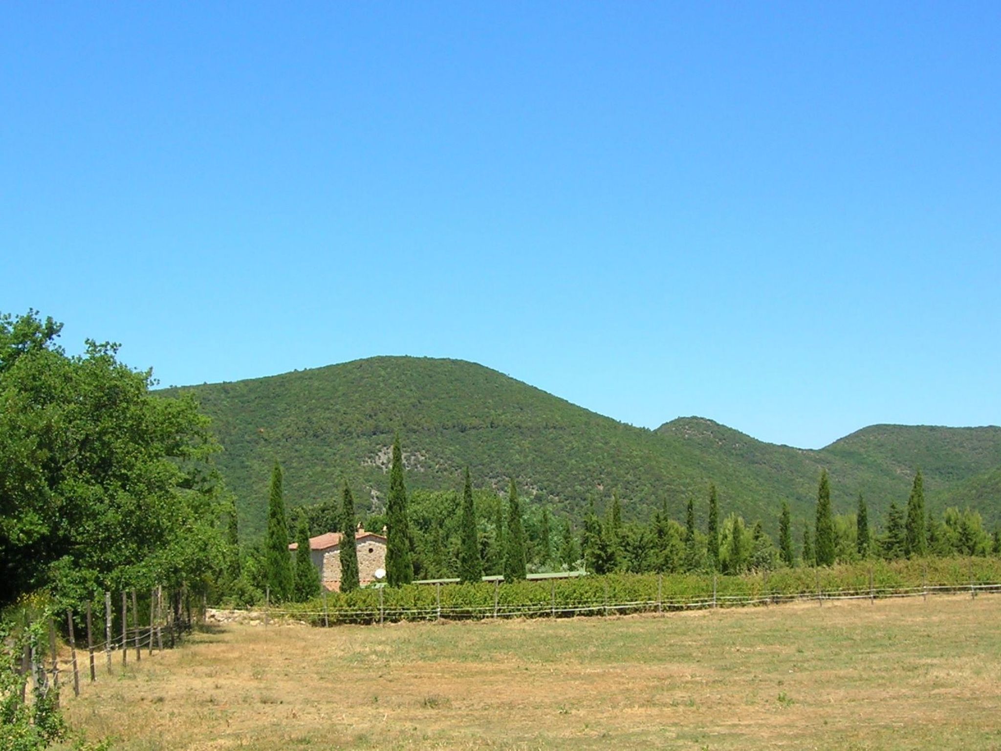 Wohnung Grecale in Castellina Marittima-Binnen