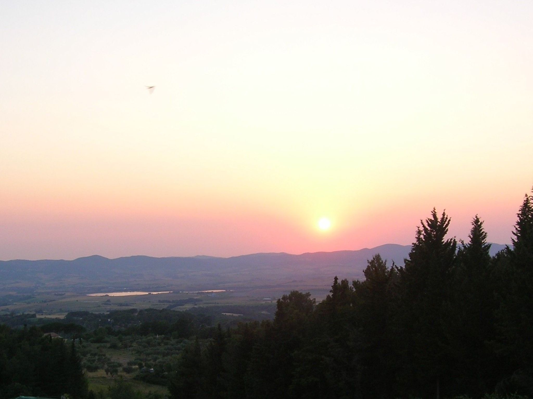 Wohnung Grecale in Castellina Marittima-Binnen