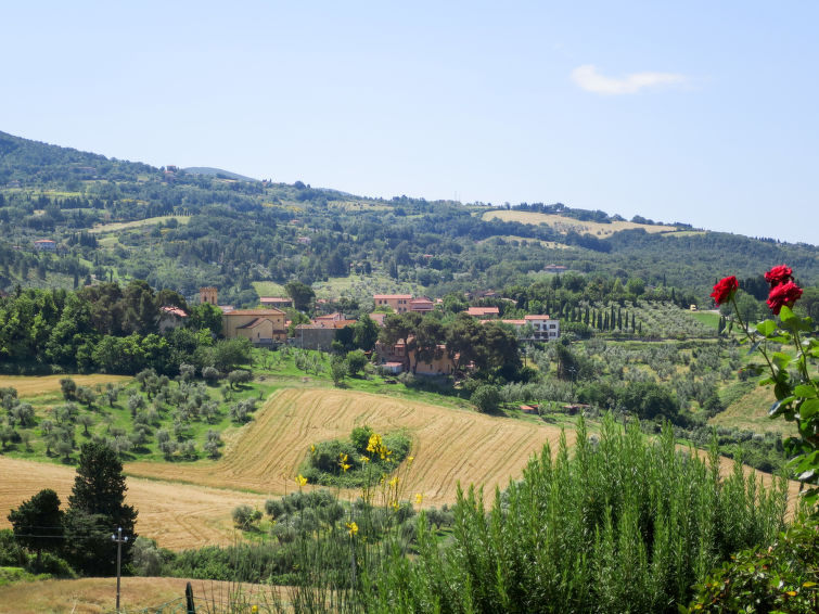 Macchia al Pino