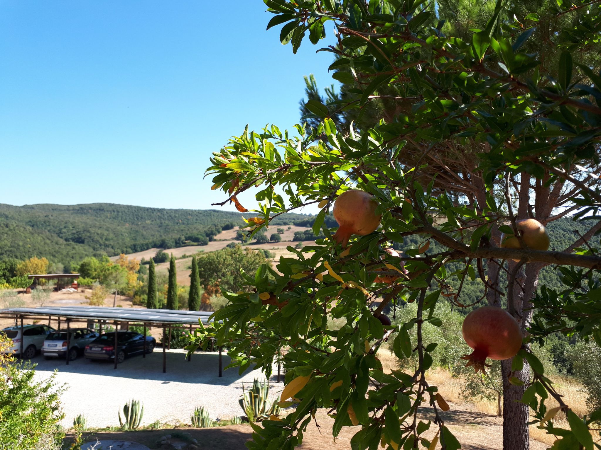 Wohnung in Massa Marittima 2 schlafzimmer und 2 badezimmer-Image-tags.info