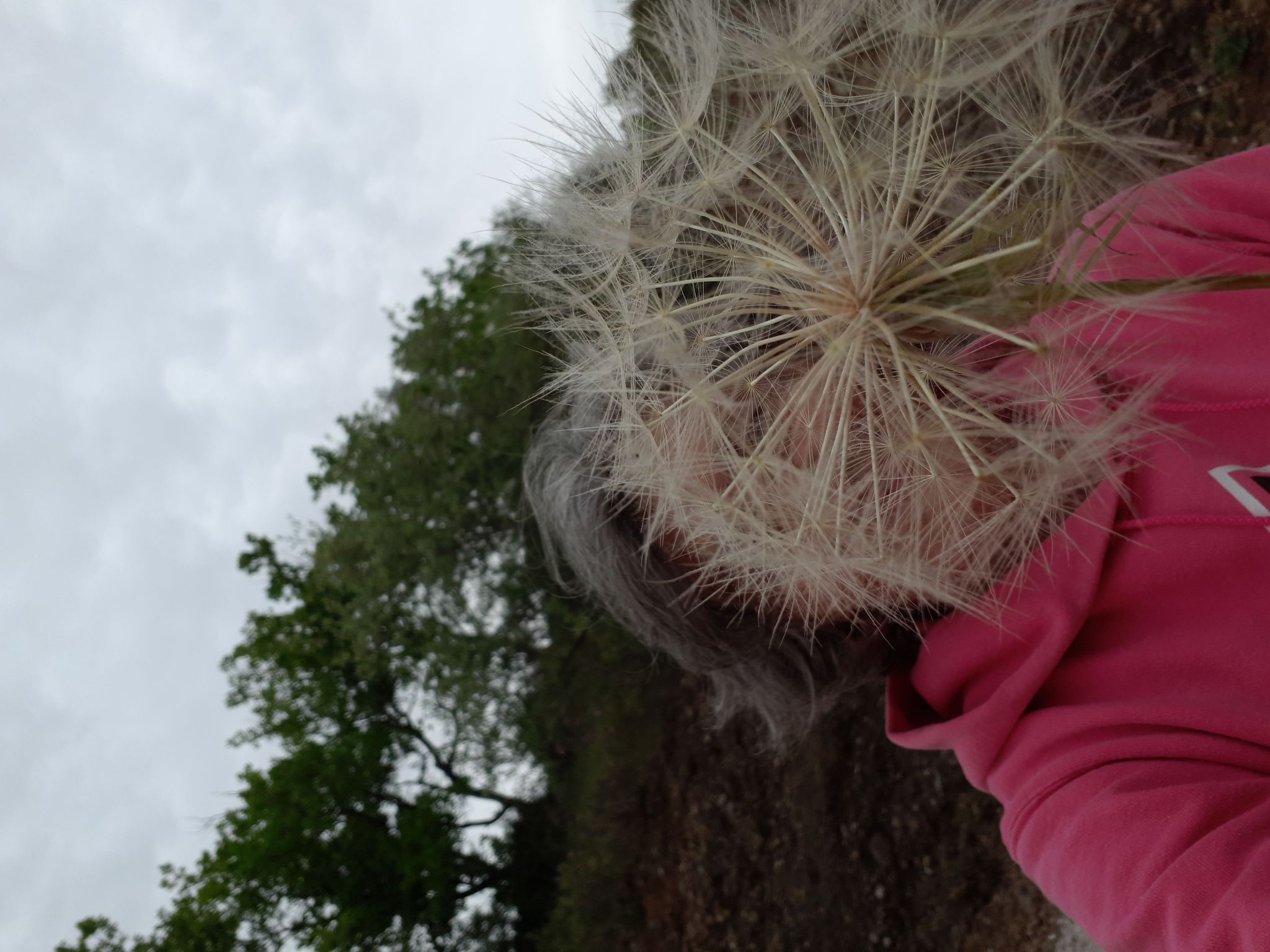 Wohnung in Massa Marittima 2 schlafzimmer und 2 badezimmer-Image-tags.info