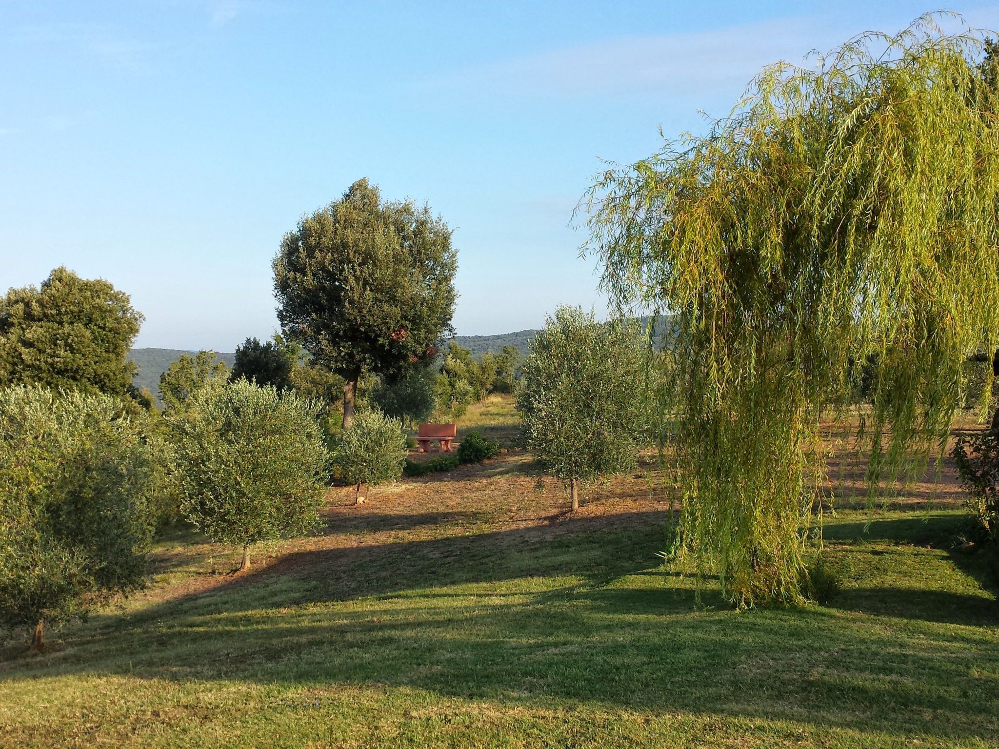 Anwesen mit Grill-Image-tags.info