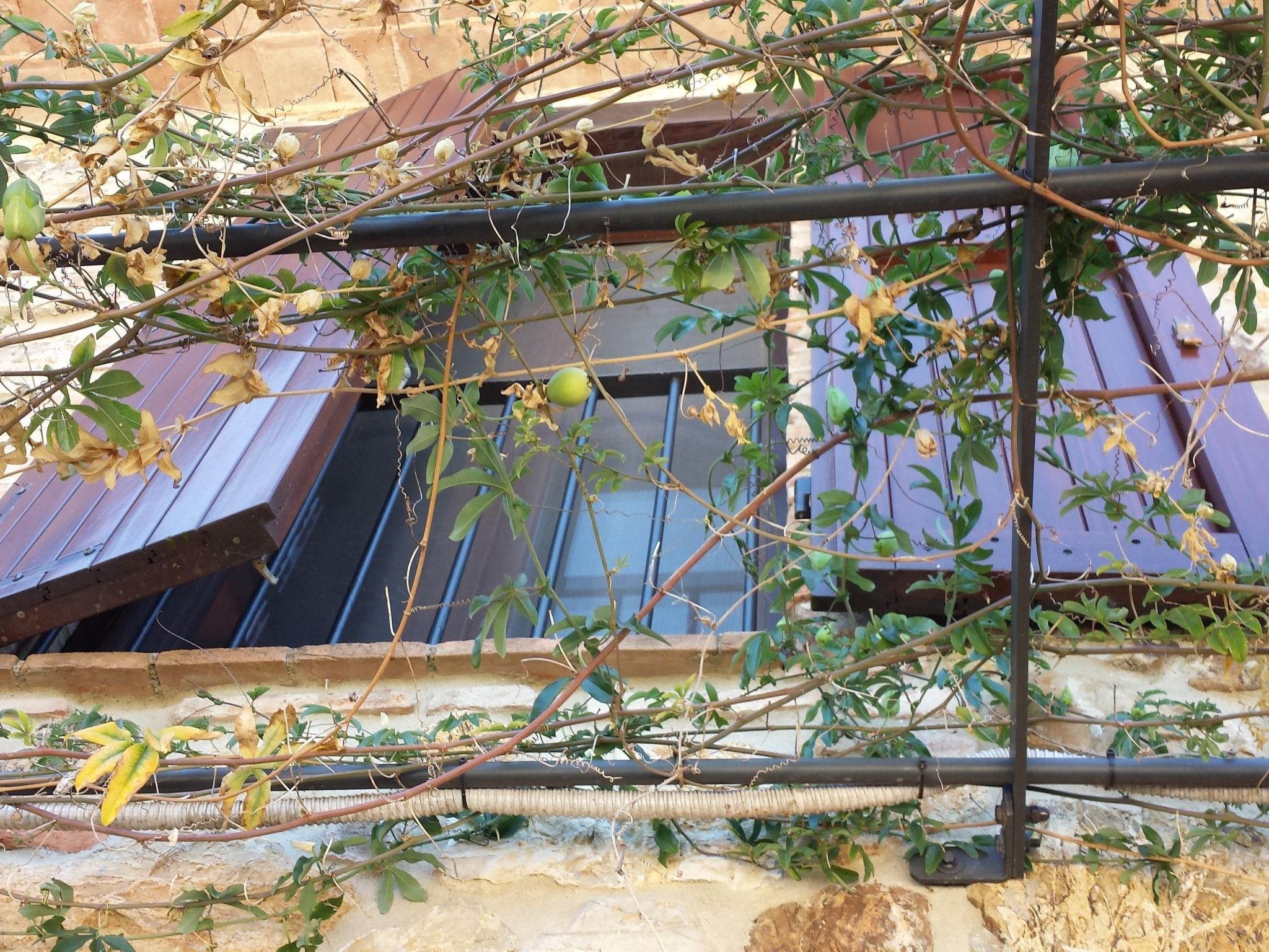 Anwesen mit Balkon-Image-tags.info