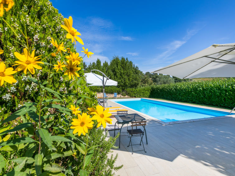 Search and Stay destination Provincia di Siena, Toscana - Italy from AU$ 158. Nido