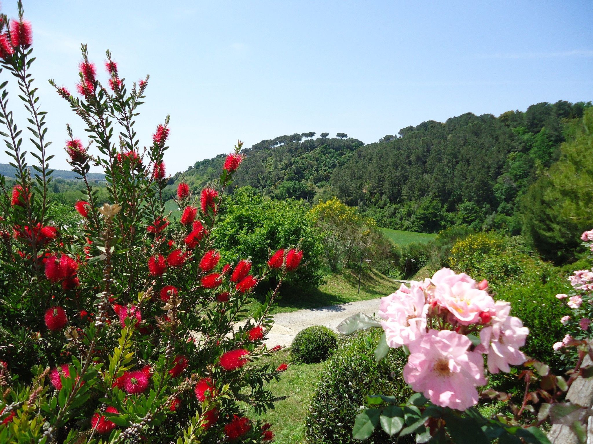 Wohnung in Riparbella mit privatem Parkplatz-Binnen