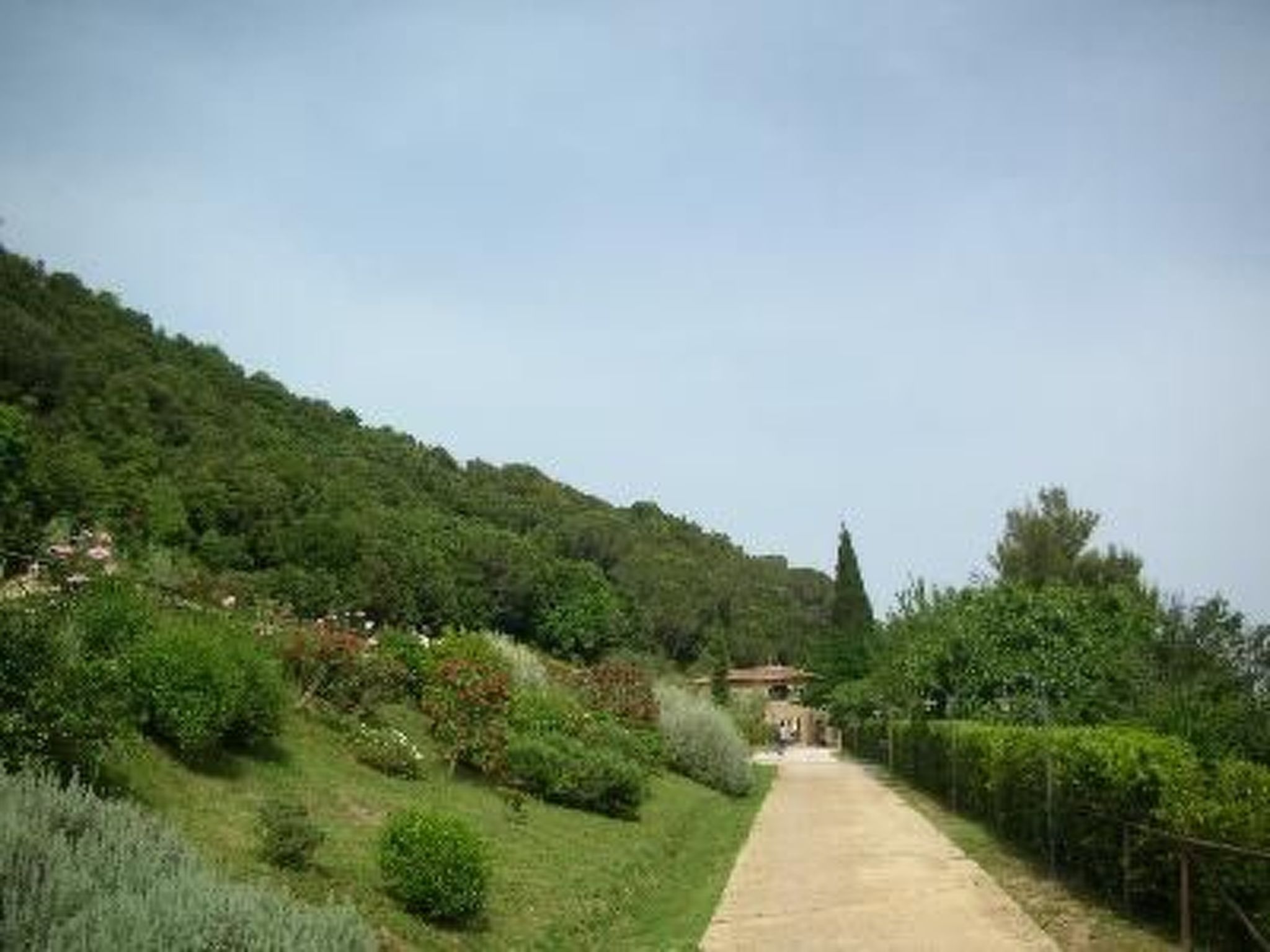 Wohnung in Riparbella mit privatem Parkplatz-Binnen