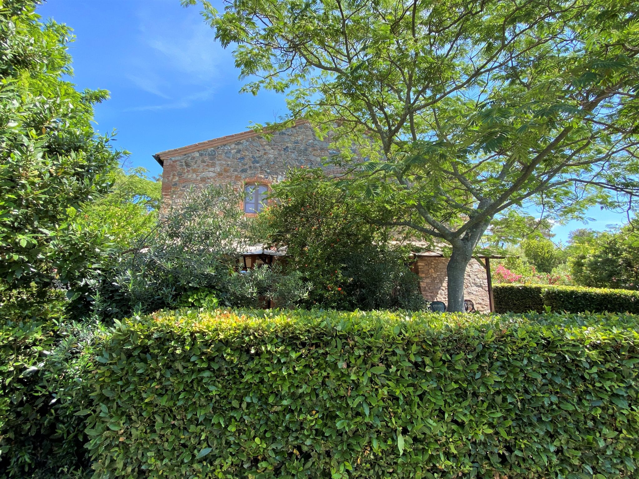 Rustiek appartement op Toscaanse heuvel met groot zwembad, nabij zee - foto 44