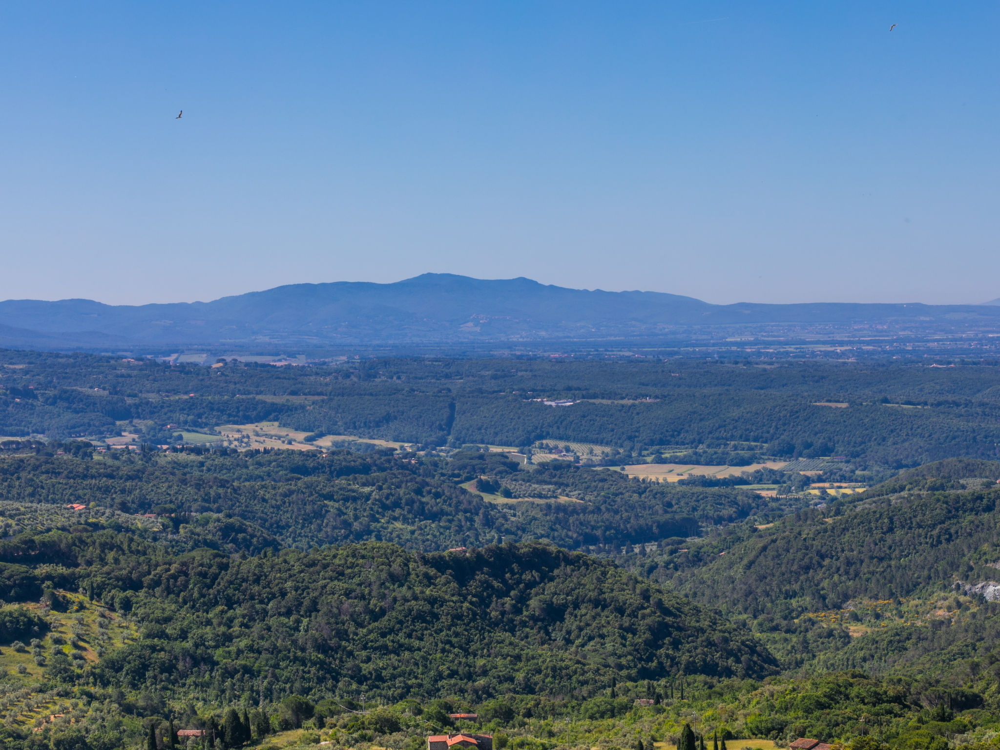 Poggio di Nocola-Buiten