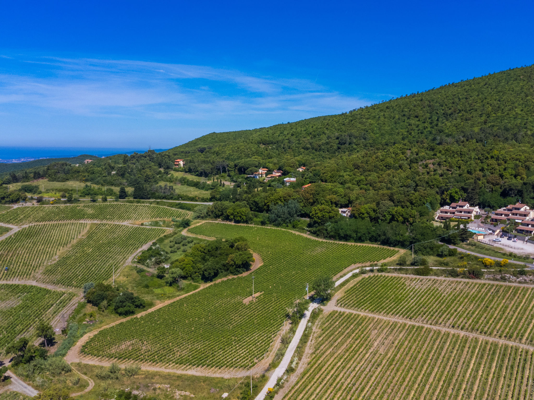 Poggio di Nocola-Buiten