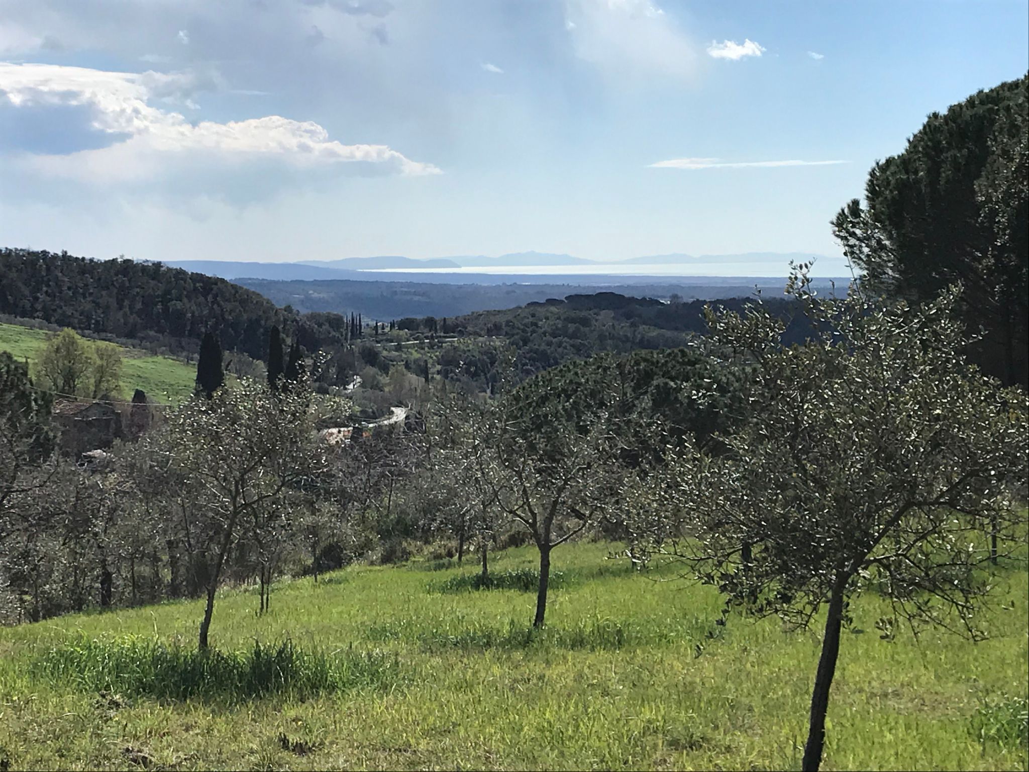 Podere Lo Zolfo-Binnen