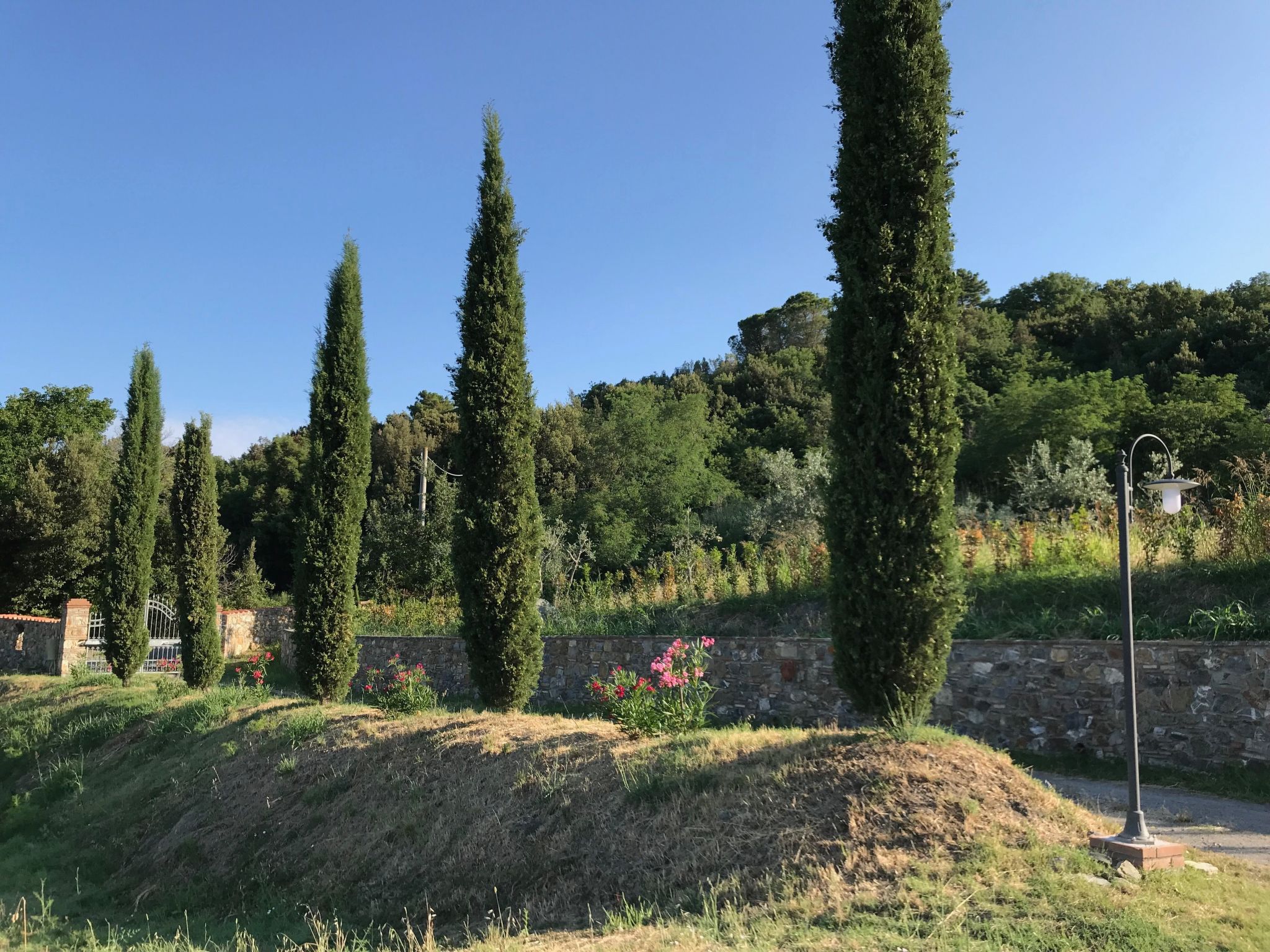 Podere Lo Zolfo-Binnen