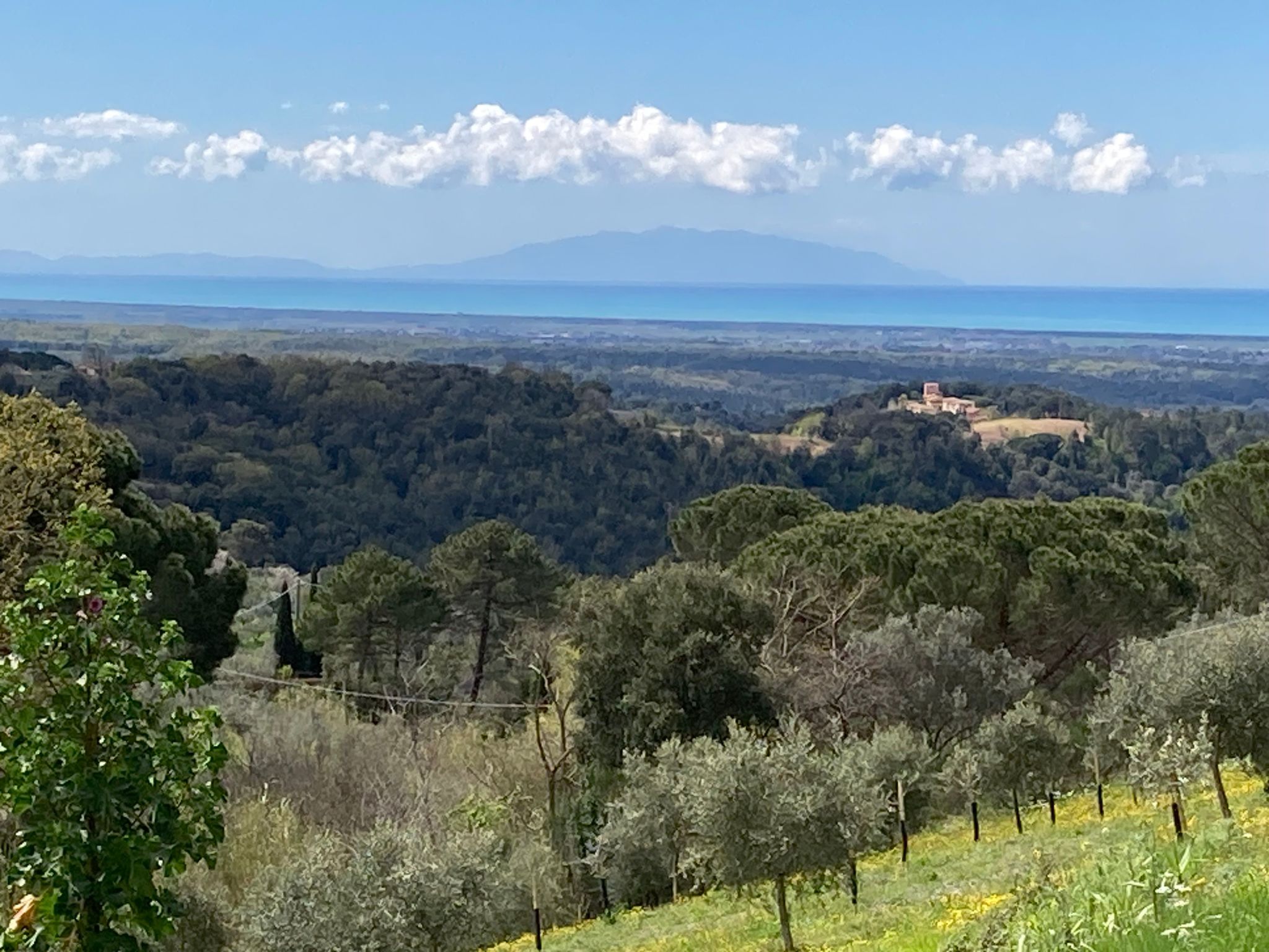 Podere Lo Zolfo-Binnen