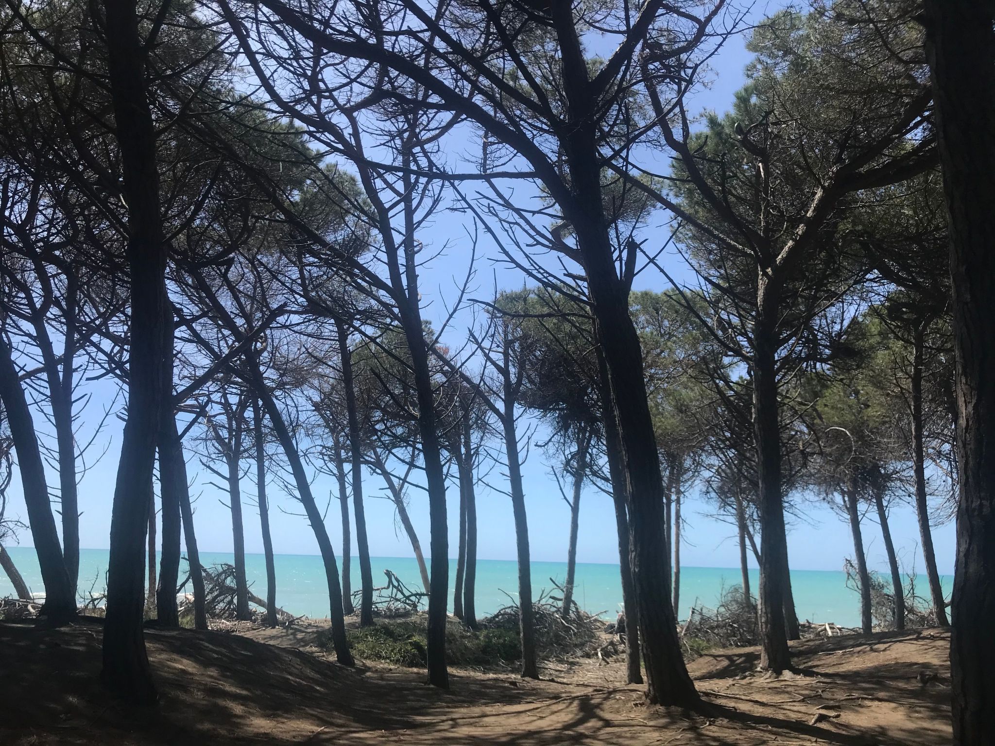 Podere Lo Zolfo-Binnen